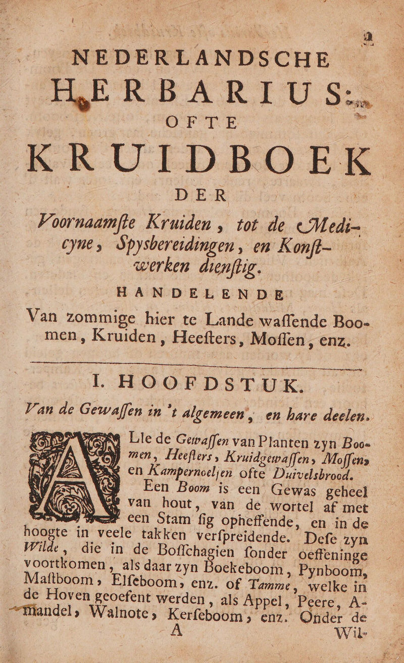 EE eld NEDERLANDSCHE OP TE DER _ werken dienftig. HANDELENDE Van zommige hier te Lande waffende Boo- men, Kruiden , Heefters, Moffen ‚ Enz. L HOOFDSTUK. j Lle de Gewaffen van Pranten zyn Boo= 9 men, Heeflers, Kruidgewaffen, Moffen» ERS en Kampernoeljen ofte Duivelsbrood. (B Een Boom is een Gewas geheel as van hout, van de wortel af met NM Wet CC Stam fig opheffende, en in de hoogte in veele takken verfpreidende. Defe zyn Wilde, die in de Boffchagien fonder oeffeninge voortkomen , als daar zyn oekeboom , Pynboom, Maftboom, Elfebooms enz. of Tamme, welke in _ de Hoven geoefent werden ‚ als Appel, Peere, A- ““ätandel, Walnote eine, ENZ. ie 0 7 il