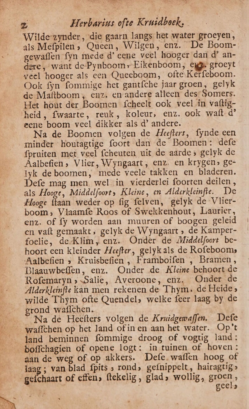 VEEN tE 2 __ Herbarins ofte Kruidboek, Wildezynder, die gaarn langs het water groeyen, als Mefpilen, Queen, Wilgen, enz. De Boom- gewaflen fyn mede d' eene veel hooger dan d’ an- dere „want de-Pynboomy Eikenboom, Eur groeyt veel hooger als een Queeboom, ofte Kerfeboom. Ook fyn fommige het gantfche jaar groen, gelyk _de Maftboom , enz. en andere alleen des, Somers. Het hout der Boomen fcheelt ook veel ín vaftig- heid, fwaarte, reuk, koleur, enz. ook waft d’ eene boom veel dikker als d’ andere. Na de Boomen volgen de Heefters, fynde een minder houtagtige foort dan de Boomen: defe fpruiten met veel fcheuten uit de aarde; gelyk de Aalbefien» Vlier, Wyngaart, enz. en krygen» ge- tyk de boomen, mede veele takken en bladeren. Defe mag men. wel in vierderlei foorten deilen , als Hooge, Middelfoort, Kleine, en Alderkleinfte. De Hooge (laan weder op fig felven, gelyk de Vlier- boom, Vlaamfe Roos of Swekkenhout, Laurier, enz. of fy worden aan muuren of boogen geleid en vaft gemaakt, gelyk de Wyngaart » de Kamper- foelie, de-Klim, enz. Onder de Middelfoort be- hoort een kleinder Heefter, gelykals de Rofebooms Aalbefien &gt; Kruisbefien , Framboifen , Bramen, Blaauwbeffen, enz. Onder de Kleine behoort de Rofemaryn &gt; „Salie, Averoone, enz. Onder de _ Alderhleinfte kan men rekenen de Thym, de Heide» wilde Thym ofte Quendel, welke feer laag by de grond waflchen. | Na de Heefters volgen de Kruidgewaffen. Defe land beminnen fommige droog of vogtig land: aan de weg of op akkers. Defe. waflen hoog of laag ; van blad {pits &gt; rond» gef{nippelt, hairagtig &gt; gefchaart of effen» (tekelig, glad» wollig, Bpen A krt geel.