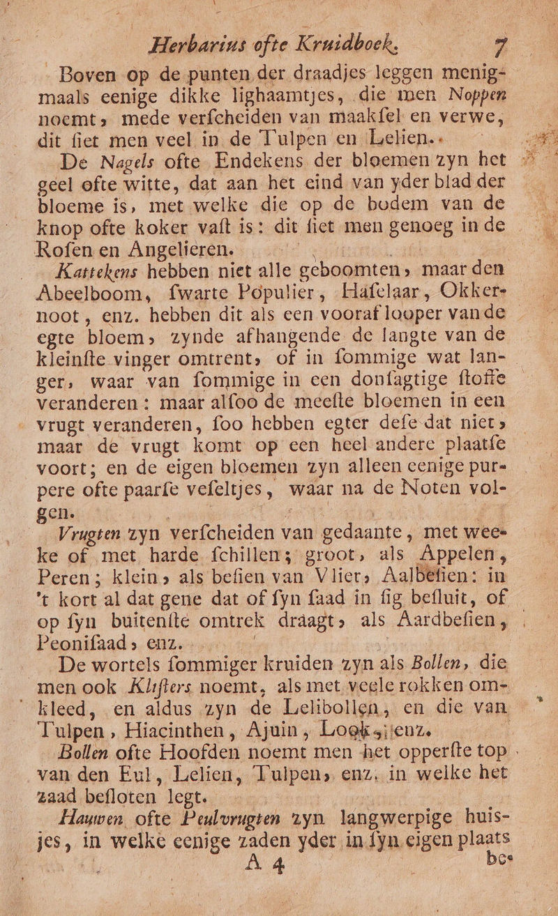 4 _ Herbarins ofte Kruidboek, ak „Boven op de punten der draadjes leggen menig- maals eenige dikke lighaamtjes, die men Noppen noemt» mede verfcheiden van maakfel en verwe, dit fiet men veel in de Tulpen en Lelien.. BE: De Nagels ofte Endekens der bloemen zyn het + geel ofte witte, dat aan het eind van yder blad der bloeme is, met welke die op de bodem van de knop ofte koker vaft is: dit fiet men genoeg inde _ Rofen en Angelieren. ad tek | __ Kattekens hebben niet alle geboomten» maar den Abeelboom, fwarte Populier, Hafclaar, Okkers noot , enz. hebben dit als een vooraf looper vande — egte bloem» zynde afhangende de langte van de kleinfte vinger omtrent» of in fommige wat lan-_ ger, waar van fommige in een donfagtige (toffe veranderen : maar alfoo de meefte bloemen in een vrugt veranderen, foo hebben egter defe dat niet» maar de vrugt komt op een heel andere plaatfe voort; en de eigen bloemen zyn alleen cenige pur= pere ofte paarfe vefeltjes, waar na de Noten vol- gen. j at ee | En Vrugten yn verfcheiden van gedaante , met wees ke of met harde fchilleirs groot, als Appelen; Peren; kleins als befien van Vliers Aalbefien: in 't kort al dat gene dat of fyn faad in fig befluit, of op fyn buitenite omtrek draagt» als Aardbefien, Peonifaads enz. | __De wortels fommiger kruiden zyn als Bollen, die men ook Klufters noemt, als met veele rokken om- “kleed, en aldus zyn de Lelibollen, en die van Tulpen , Hiacinthen , Ajuin „ Loek siienze d Bollen ofte Hoofden noemt men het opperfte top van den Eul, Lelien, Tulpen, enz, in welke het zaad befloten legt. ; | …_ _ _Hauwen ofte Peulvrugren yn langwerpige huis- jes, in welke eenige ji yder in {yn eigen pres / Ce