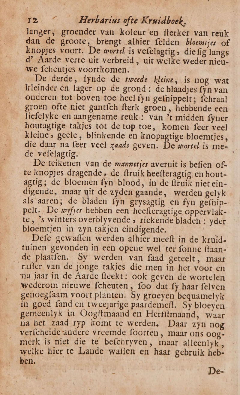 langer, groender van koleur en fterker van reuk dan de groote, brengt alhier felden bloemtjes of knopjes voort. De wortel is vefelagtig » die fig langs d’ Aarde verre uit verbreid , uit welke weder nieu- we fcheutjes voortkomen. De derde, fynde de tweede kleine, is nog wat kleinder en lager op de grond : de blaadjes fyn van onderen tot boven toe heel fyn gefnippelt; fchraal groen ofte niet gantfch fterk groen, hebbende een liefelyke en aangename reuk : van ’t midden fyner houtagtige takjes tot de top toe, komen feer veel kleine, geele, blinkende en knopa tige bloemtjes, die daar na feer veel zaads geven. De wortel is me- de vefelagtig. | De teikenen van de mannetjes averuit is befien of- _te knopjes dragende, de ftruik heefteragtig. en hout- _agug; de bloemen fyn blood, in de ftruik niet ein- digende, maar uit de zyden gaande, werden gelyk als aaren; de bladen fyn grysagtig en fyn gefnip- pelt. De wyfjes hebben een ‘heefteragtige oppervlak- te, ‘s winters overblyvende &gt; riekende bladen : yder bloemtjen in zyn takjen eindigende. Dete gewaflen werden alhier meeft in de kruïd- tuinen gevonden in een opene wel ter fonne ftaan- de plaatfen. Sy werden van faad geteelt, maar rafler van de jonge takjes die men in het voor en na jaar in de Aarde fteekt: ook geven de wortelen wederom nieuwe fcheuten, foo dat fy haar felven genoegfaam voort planten. Sy groeyen bequamelyk in goed fand en tweejarige paardemeft. Sy bloeyen gemeenlyk in Oogftmaand en Herfftmaand, waar na het zaad ryp komt te werden, Daar zyn nog verfcheide andere vreemde foorten , maar ons oog- merk is niet die te befchryven, maar alleenlyk, welke hier te Lande waflen en haar gebruik heb- ben. De-
