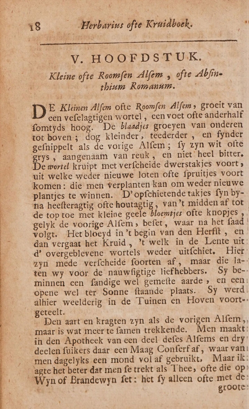 Vv. HOOFDSTUK. Kleine ofte Roomfen Alfem , ofte Abfine Be, ; | zhium Romanum. | DE Kleinen Alfem ofte Roomfen Alfem» groeit van Â een vefelagtigen wortel , een voet ofte anderhalf ____fomtyds hoog. De blaadjes groeyen van onderen —_ {tot boven; dog kleinder; teederder , en fynder gefnippelt als de vorige Alfem; fy zyn wit ofte ‘grys , aangenaam van reuk, en niet’ heel bittere De wortel kruipt met verfcheide dwerstakjes voorts uit welke weder nieuwe loten ofte fpruitjes voort En komen: die men verplanten kan om weder nieuwe a plantjes te winnen. D’opfchietende takjes fyn by- ee na heefteragtig ofte houtagtig, van’t midden af tot 4 de top toe met kleine geele bloemtjes ofte knopjes gelyk de voorige Alfem» befet, waar na het faad ' volgt. Het bloeyd in ’t begin van den Herfft , en. dan vergaat het Kruid, ’t welk in de Lente uit d’ overgeblevene wortels weder uitfchiet, Hier zyn mede verfcheide foorten af, maar die la-- ten wy voor de nauwfigtige liefhebbers. Sy be-- minnen een fandige wel gemefte aarde» en een. opene wel ter Sonne ftaande plaats. Sy werd alhier weelderig in de Tuinen en Hoven voort-: _geteelt. | ° Pen aart en kragten zyn als de vorigen Alfem maar is wat meer'te famen trekkende. Men maakt: in den Apotheek van een deel defes Alfems en dry’ deelen fuikers daar een Maag Conferf af , waar van! men dagelyks een mond vol af gebruikt, Maar ik: agte het beter dat men fe trekt als ‘hee, ofte die op» Wyn of Brandewyn fet: het fy alleen ofte met de: groote: *