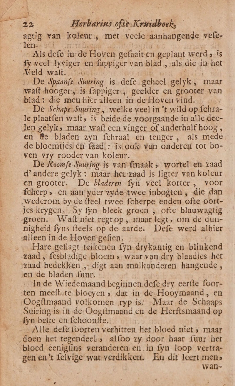 Herbhind EEN Kritidboels Als dee 5 in, dé Hoven boft en geplant 218 fy veel Ann en fappiger van blad ‚als die in het De Spaanfe Suaring is def fehdel gelyk, maar wenlk, hooger: is fappiger-, geelder en grooter van De Schape Suuring , welke veel in 't wild op aleer Je plaatfen waft; is beidede voorgaande í in alle dee- en &amp;e bladen zyn fchraal en tenger, als mede de bloemtjes én faad,: isook: van ondere tot bo- ven vry rooder van koleur. De Roomft Suuring is vaar-fmaak „ wortel en zaad d’ andere gelyk : maarhet zaad is ligter van koleur en grooter. De bladeren fyn veel korter , voor nigheid fyns (teels op de aarde. Defe werd aline Hare geflagt teikenen fyn drykantig en bijakend zaad, fesbladige bloem &gt; waar van dry blaadjes het In de Wiedemaand beginnen.defe dry eerfte foor- Suiring is in de: Oogf(tmaand en de selderij op ijn beite en fchoontte, Alle defe foorten verhitten het bloed niet » maar gen en’t felvige wat verdikken. En dit leert mens „ARR wan-