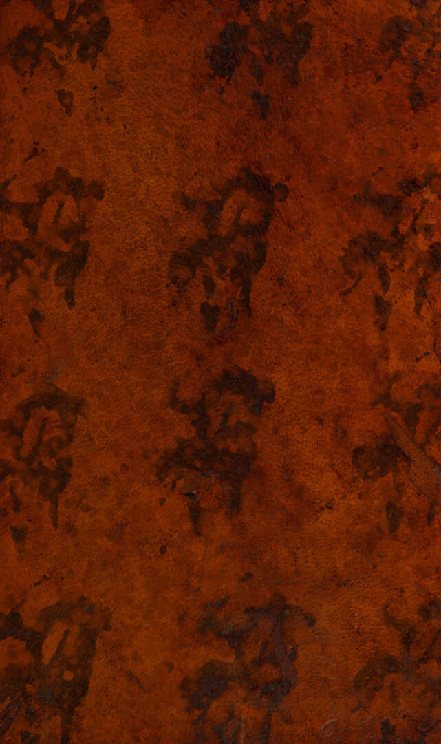 No text description is available for this image