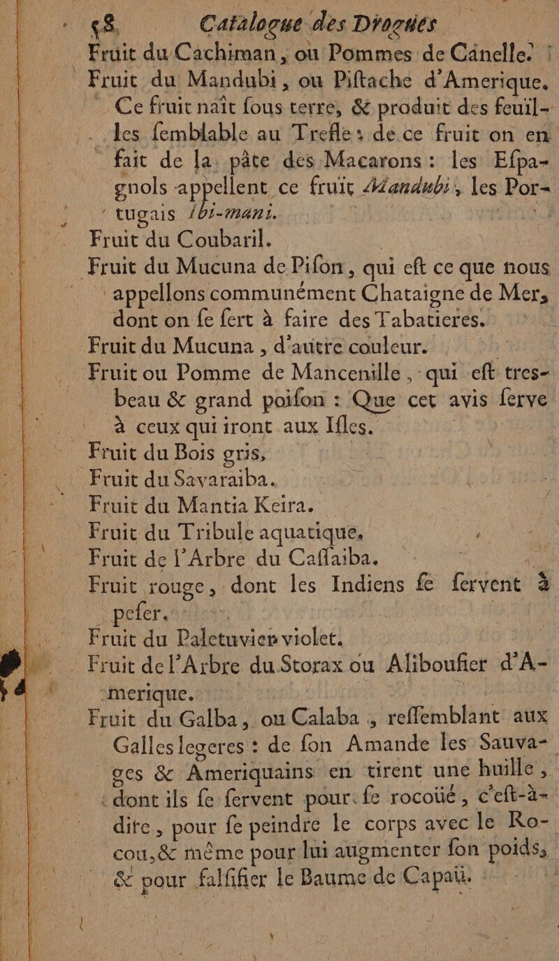 ’ \ Fruit du Cachirman, ou Pommes de Cänelle’ ! Fruit du Mandubi , ou Piftache d'Amerique. Ce fruit naît fous terre, &amp; produit des feuil- fait de la pâte des Macarons: les Efpa- gnols appellent ce fruit Afandub:, les Por- ‘ tugais 1bi-mani. | dur Fruit du Coubaril. appelons communément Chataigne de Mer, dont on fe fert à faire des Tabatieres. Fruit ou Pomme de Mancenille , qui eft tres- beau &amp; grand poifon : Que cet avis ferve à ceux quiiront aux Ifles. | Fruit du Mantia Keira. Fruit du Tribule aquatique. i Fruit de l’Arbre du Caflaiba. pi Fruit rouge, dont les Indiens fe fervent à pefer. | Fruit du Paletuvier violet, -merique. ; Fruit du Galba, ou Calaba , reffemblant aux _Galleslegeres : de fon Amande les Sauva- ges &amp; Ameriquains en tirent une huille , : dont ils fervent pour: fe rocoüé, c'eft-à- dite, pour fe peindre le corps avec le Ro- | cou,&amp; même pour lui augmenter fon poids, &amp; pour falfifier le Baume de Capa. \