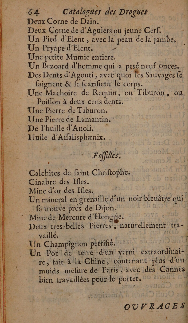Deux Corne de d Aguiers ou jeune Cerf. Un Pied d’Elent , avec la peau de la Janpes Un Pryape d'Elent. + Une petite Mumie enticre. , Un Bczoard d'homme qui a pese neuf onces. Des Dents d’Agouti, avec quoi Tes Sauvages fe faignent &amp; fe fcarifient le corps. Une Machoire de Requin, ou Tiburon, ou Poiflon à deux cens dents. Une Pierre de Tiburon. De l’huille d'Anoli. | EE Foff les: | Calchites de faint Chriftophe. Cinabre des Ifles. fe trouve prés de Dijon. Mine de Mércure d'Hongrie. yvaillé. Un Champignon péttifié.” “re, fair à-la- Chine, contenant plus d'un muids mefure de Paris , avec des Cannes) bien travaillées pour le porter. PA: 1 9 À, 48,4 À à } Mu. pes re ‘