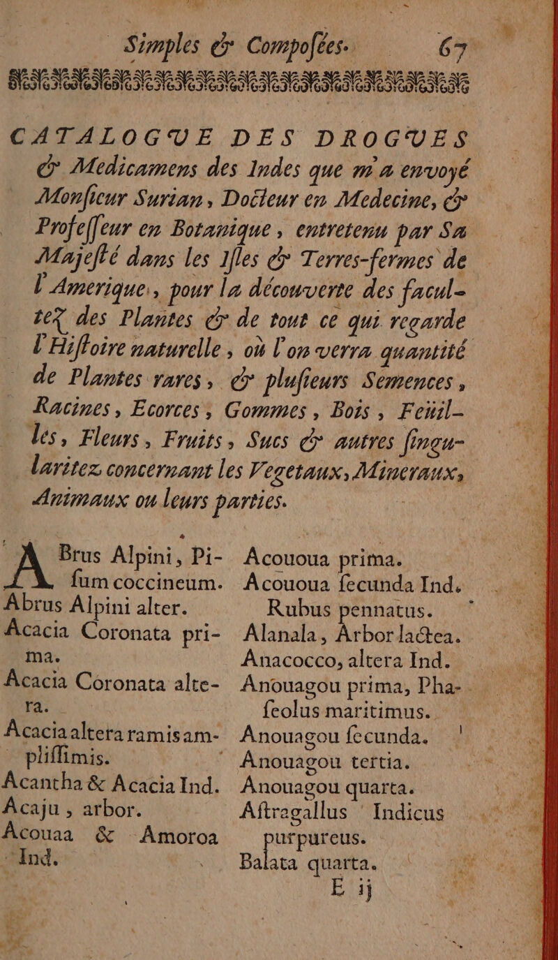 Le à 67 À Brus Alpini, Pi- Abrus Alpini alter. Acacia Coronata pti- ma. Acacia Coronata alte- ra. pliffimis. Âcantha &amp; Acacia Ind. Acaju , arbor. Âcouaa &amp; Amoroa “ Ind. »- n S 2. Acououa prima. Âcououa fecunda Ind. Rubus pennatus. ÂAlanala, Arbor lactea. Ânacocco, altera Ind. feolus maritimus. Anouagou fecunda. Anouagou tertia. Anouagou quarta. Aftregallus ‘ Indicus PET Balata quarta.