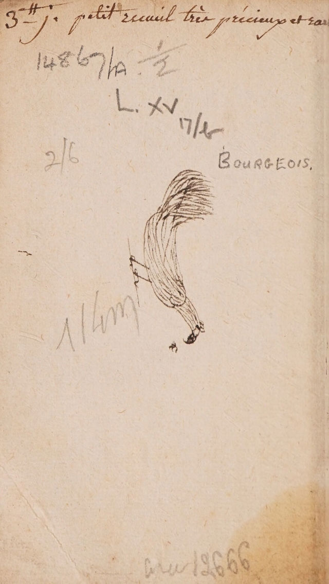 digitised image 2