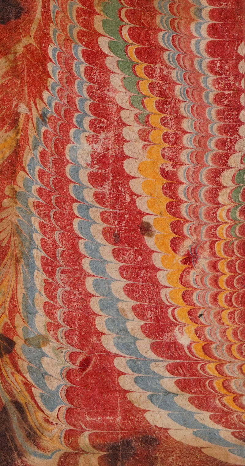 No text description is available for this image