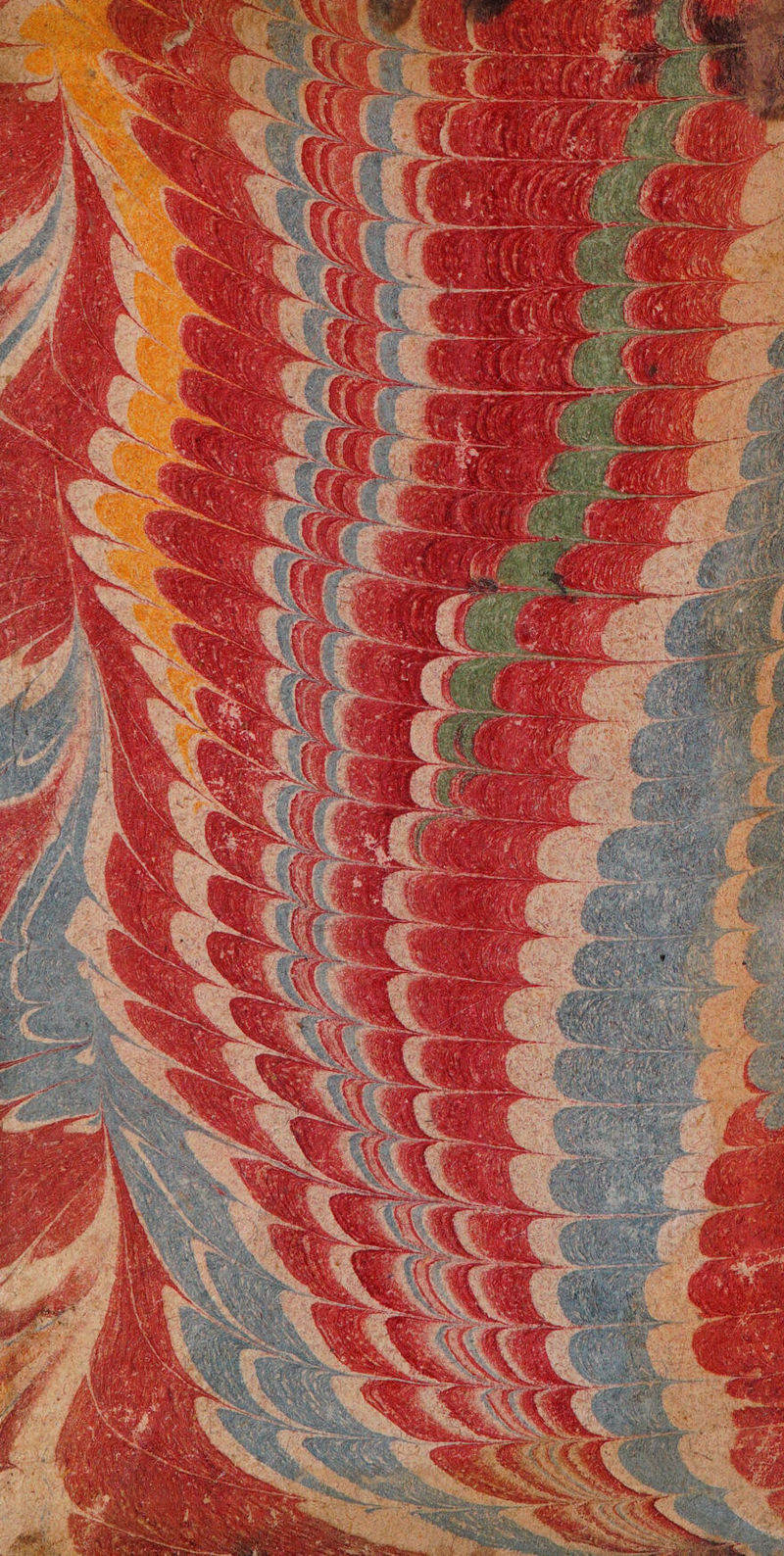 No text description is available for this image