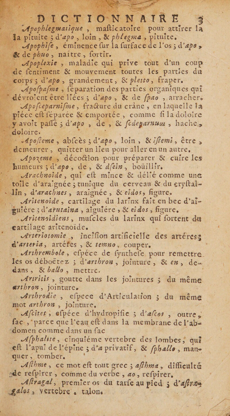dapo, ; loin » dc na, pituite. Lo éminence fur la furface de l’ os; d’apes 0 naître, fortir.. \ ET &amp; mouvement toutes les parties du ps g o, grandement, &amp; pleito, fraper. Apolpafms , ; féparation des parties organiques qui évro'ent être liées; d'apo, &amp; de foao , arracher. …Apofieparnifine &gt; fra@ure du crâne , en laquelle la iéce féparée &amp; emportée, , comme fi la doloire 3 avoit pañlé ; d apo &gt; de, &amp; ftdeparnwm , hache, doloire.» -Apofleme ; $ bits: ; d’ apo, loin, &amp;ifemi, être, eurer, quitter un lieu pour aller enun autre, He à déco&amp;ion pour préparer &amp; cuire les humeurs ; $ Vapo E AR dfin , boüillir, trachnoide , qui et mince &amp; délié comme une le d'araignée ; tunique du cervean &amp; du eryftal- in, d'arachnes, araignée , eidos, figure. y ihote ; cartilage du larinx fait en bec d'ai- guiére ; ; d’arutaina , aïguiére s &amp; eidos, figure, . Aritennidiens, mufcles du larinx qui fortent du cartilage aritenoide. d'arteria, artéfes , &amp; temno, couper, .Arthrembole, efpéce de fynthefe, pour remettre les os déboëtez ; d’erthron, jointure, &amp; ez, de= dans, &amp; ballo , mettre. s - Ariritis , goutte dans les jointures 3 i même artbron, jointurce ; c Arthrodie , efpece d’Atticulation 3 du même mot arthron , jointure.’ ; ` Aftites : &gt; efpéce d’ hydropifie ; š d aftos , outre, fac. ‘parce que l’eau eft dans la membrane de l'ab- Anen comme dans un fac .Afphalite, cinquiéme vertebre des lombes ; qui ef Papui deL épine 5 d’a privatif, &amp; fphallo , mane guer, tomber, Afthme, ce mot eft tout grec 3 avé &gt; difficulté sde refpirer , comme du verbe &gt; ao, refpirer, ~ Aftragal, premier os du tarfe au pied ; ae galos a vertebre , talons »
