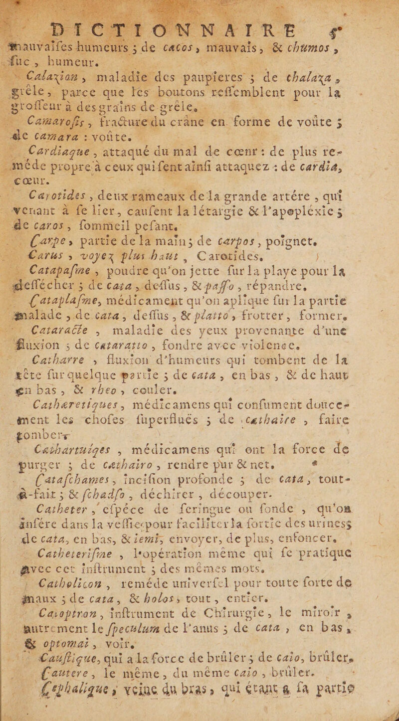 RES d t du mal de cœnt: de plus : re- | € avaler de cardia, me la grande artére , qui hier, ÉutéRe la létar gie &amp; 1 apepléxie 5 5 à AE spe, pal le Fa main; de carpos, poignet. TUS &gt; nur haut, Caretides, Í sapafine &gt; poudre qu’ on jette fur 1a playe pour lą her ; de cata. deflus, &amp; pafo, répandre, ataplafme, médicament qu'on aplique fur la partie alade de cara, deflus, &amp; plaito, frotter, former, Cataracle , matade des yeux provenante d’une uxion de cataratto , fondre avec violence, Catharre &gt; fluxion d’humeurs qui tombent de la gite fur quelque partie ; de ceata, en bas, &amp; de haut gn bas, &amp; rheo, couler. ; Cathererigques, médicamens qui cote dufces „ment les chofes fiperiges 5 de cathaire , faire gomberr j Caihartuiges , médicamens qu ont la force de DS ; de cethairo , rendre pur &amp; net, e Catafchames , incifion profonde 5 de: cata, tout- o -fait ; &amp; fthadfo &gt; déchirer , découper. Catheter &gt; cfpéce de ` feringue on fonde , qu'on anfére dans la veffiecpour faciliter la fortie des urines$ me cata, en bas, &amp;iemi, envoyer &gt; de plus, enfoncer. ‘ ` Cathererifine ` l'opération même qui fe pratique avec cet inftrument ; des mêmes mots, ai Catholicon, reméde univerfel ae toute forte de naux 5; de cata, &amp; holoss tout, entie — Caiopiren, inftrument de Ginas le miroir , | mutrement le fpeculum de l'anus ; de « cata , en bas,. opromai, voit C Cañflique, qui a la force de bratra ; de çalo, brüler, Cañtere, le même, du même caio , brûler. £ ephaligue ; ` veine du bras » qui GEANE &amp; LA patio &gt;