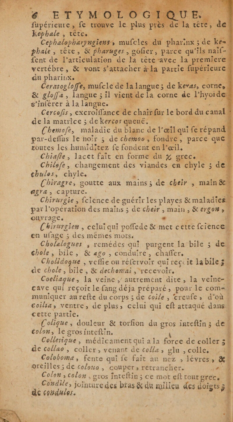 fupérieure 1 kephale , vote Cephalopharyng gi S c phi vinx ae phale , tête, &amp; phe Uges &gt; , gófier , parce qu le fent de l'articulation de la tête avec. dan vertébre, &amp; vont S ne | partie du phariuxs F Ceratogloffe, mufcle de la langue; de Pis, corn &amp; glofa &gt; langue ; il vient de la corne de Vhol s’inférer à la langue. TT Cercofis , excroïffance de chair. i de la matrice ; dekercos queué. Chemofe, maladie du blanc de Pœilqui fe répand par-deflus le noir ; de chemoo, fondre , parce pa toutes les humiditez fe fondent en l'œil, } Chiafle, lacet fait en forme du % grece i i Chilefe, changement des viandes en chyle 5 de thules, chyle. l Chiragre, goutte aux mains ; de cheir &gt; main 8 OLTA, capture. \ = ; Chirurgie &gt; fcience de guérir les playes &amp; maladies à par l'opération des mains ; de cheir , main, &amp; ergon ovrage. « Chirurgien, celui qui poffede &amp; met c ette TEE en ufage ; des mêmes mots, i Cholalogues , remédes qui purgent la Life = de. chole, bile, &amp; ago , conduire, chaffer, +4 ` Cholidoque , vefe ou réfervoir qui veç it labiles. Pi de chole, bile , &amp; dechontai , ‘recevoir, Coeliague, da veine y autrement dite, la veine- E cave qui reçoit le fang déja préparé, pour le com= muniquer au refte du corps ; de coile , creufe, d'où # coilta, ventre, de plus, celui qui ef attaqué dans. cette partie. Colique, douleur &amp; torfion du si inteftin ; $ aef colon, le grosinteftin. Collerique , médicament qui a la fon coller 3 de collao , coller, venant de colla, glu , colle, s Coloboma, fente qui fe fait au des &gt; levres; xo orcilles; de coloxo , couper, retrancher. A | Colon colon ; gros fnteflin ; ce mot eft tout grec. Condile, jointure des btas &amp; du milicu des doigts;