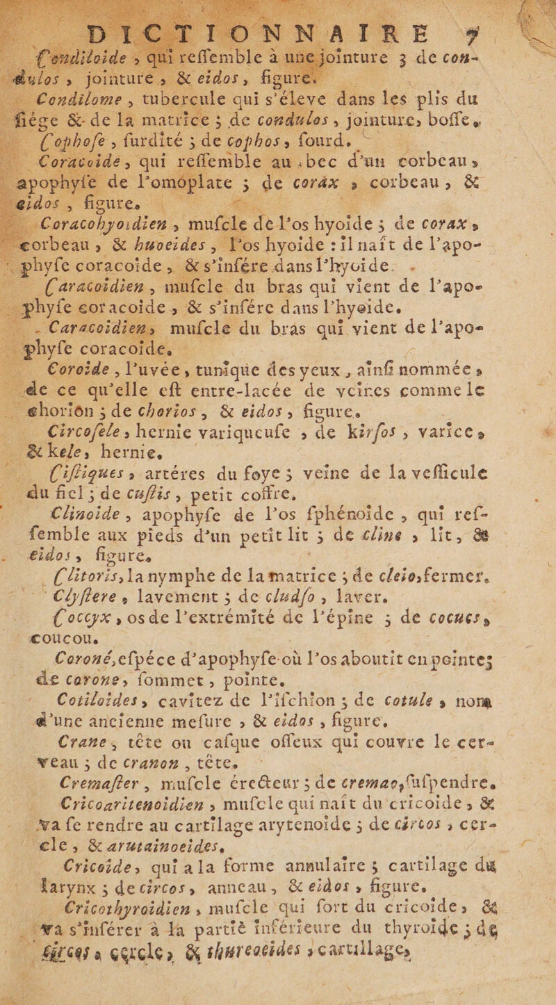 ainé ; de oT ses ai abec en P Liane Cora obyoidien , à mu te one: 3 de corax s rbeau &gt; &amp; huveides, Pos hyoide :ilnaît de l’ apo- le cora &gt; infére Fi ; su es en Le corac €oroide, rire tunique des yeux, Re nommée » welle eft entre-lacée de vcites comme le an, ; de chorios, &amp; eidos, figure. Circofele, hernie variqueufe ; de kirfos ; varice» _ &amp;kele, hernie, r Cifligues, artéres du foye; veine de la veflicule _ dufcl; de caffis , petit coffre, acide apophyfe de los fphénoïde , qui ref- femble aux pieds d’un petit lit 5 5 de cline &gt; lit, &amp; . æÆidos, figure. . Clitoris, la nymphe de la matrice ; de cleio,fermer., ` Clyflere, lavement ; 5 de cludfo ; ler. Coccyx , os de l'extrémité de l’épine ; de cocuces, | æoucou, Coroné,efpéce d'apophyfe o où l'os aboutit cnpointes de corone, fommet, pointe. Cotiloides, cavitez de l’ifchion ; de cotule s nona d'une ancienne mefure s &amp; eidos , figure, Crane, tête ou cafque offeux qui couvre le cer- veau ; de Cranon , tête. aber y malele éreteur ; de cremac,fufpendre, Criconritenoidien ; mufcle qui naît du cricoide, &amp; j Na fe rendre au cartilage arytenoïde ; de cércos ; cer- Mele, &amp; arutainoeides, . Cricoide, qui ala forme annulaire 5 cartilage du PU: ; decircos, anneau, &amp; eidos, figure, Cricothyroidien , mufcle qui fort du cricoide; &amp; ge: ‘inférer à Ta partiè inférieure du thyroïde ; 5 dg | Giroa a corclea &amp; shmreacides scartillagea e TA k aia +2 Mi