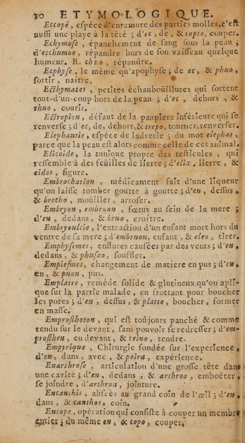 x6 ETY Eccope , efpéce aui unc playe à à | Echymofe , ép ic} d'ecchumoo, révand humeur, R. chro Ecphyfe, le mè Eéihymates , “pcs ‘échauboñil tout-d’un-coup hors. dekope $ thao, courir, Eéfropion, défaut de la p \ tonner renver Elephantie , Cfpéce de ladrer umo parce que la peau cft alors comni: Elicoide, la tunique propre rcflemble à des feüilles de lierre: 5d eidos , figure. AB: 17 Embrochariôn : &gt; ERE haie Bie lianen $ qu'on laife tomber goutte à goutte 5 d'en, defiis Si &amp; bretho , moüiller, arrofer, Embryon , embraon , fœtus au fein dé la mere . d’ex , dedans, &amp; bruo, croître. Embryoulcie, Pextra&amp;ion d’un Aai mort hors du | ventre de fa merc ; d'embruon, enfant , &amp; eleo, tirera Emphyfèmes, enflures caufées par des vents; d'ez, dedans, &amp; phufzo, fouffler, Empiefnes, changement de matiere en pus; dew, en, &amp;puon, pus. : Emplatre, reméde Hie &amp; ginali quoi apli que fur la partie malade, en frottant pour boucher Ics pores ; d'es , deffus , &amp; platte, boucher, forma | en maffe, — Emprofthoton , qui eft toi jours panché &amp; corail | tendu fur le devant, fans pouvoir fe redreffer ; dene | proffhen, en devant, &amp; reino, tendre. Empyrigue , Chirurgie fondée fur .l’expertence# | d'en, dans, avec, &amp;peira, expériences 1 Enarthrofe &gt; articulation d’une groffe. tête da une cavité ; d'ez, dedans s &amp; 'arthroo , embočter fe joindre , d’arthron , jointure, ; - à Encambhis , abfcès au ‘grand coin Enr œ!l ; d’e dans : &amp;canthes, coins. … * Z Encope, opération qui confifte à ASAE un memb EU ETC. pi Po,