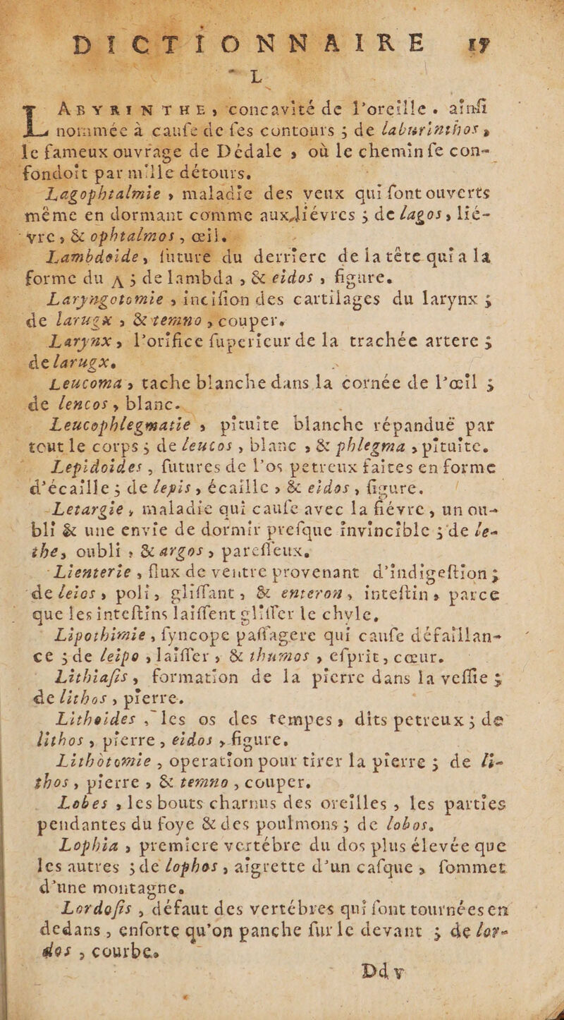 s de P oreille. Hal urs ; de labrrinthos a 5 où le chemi nfe con- À Fe Pi qui font ouverts uxdiévres ; de lagos, lié- ere de ia tête qui a la a &gt; Q eidos ; figure. ion des cartilages du larynx 5 oupere e ai de la trachée artere 5 P Se A &gt; eucoma » tache l blanche dans Ja cornée de Pæil 5 “Lencophlegmatie s pituite blanche répanduë par tout le corps ; de letos , blanc , &amp; phlegma ; pituite. na Lepidoides , futures de l'os. petreux faites en forme . d'écaille ; de Zepis, écaillc » &amp; eidos, figure. ! -Lerargie , maladie qui caufe avec la RN , un on- bli &amp; une envie de dormir prefque invincible ; de /e- the, oubli : &amp; argos ; parefleux. :Lienterie , flux de ventre provenant d'indigeftion ; ‘de eies, poli, ghffant, &amp; enreron, inteftin, parce que les inteftins laïffent gl'fler le chyle, Liporhimie, fyncope paffagere qui caufe défaillan- ce 5de leipo ,laïfler y &amp; thumos , _efprit, cœur. Lèchiafis » formation de la pierre dans la veffie 3 de lithos , pierre. ; Litheides , les os des tempes, dits petreux ; de lithos , pierre, eidos , figure, Lithotomie, operation pour tirer la pierre 3 de li- thos, pierre ; &amp; temno , couper. Lobes ; les bouts charnus des oreilles , les parties pendantes du foye &amp; des poulmons ; de /abos, Lophia , premiere vertébre du dos plus élevée que les autres ; de lophos , aigrette d’un cafque ; fommet d'une montagnes Lordofis , défaut des vertébres qui font tournées em dedans, enforte qu’ on panche fur le devant ; de Zor- 3 aa -Ddy