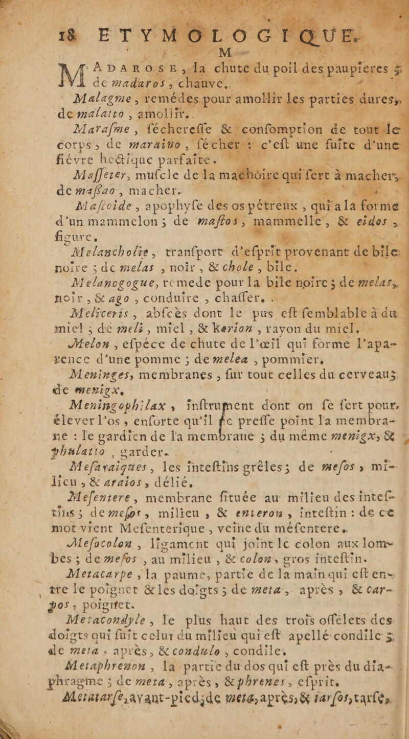 © Maffeter, mufcle de lar de mafao, macher. Lo Maftoide , apophyfe bo osp d’un mammelon ; 5 de matos , 1 figure, Melancholie, tranfpore d’efp noire ; dc melas , noir, &amp; chole , bile Fa M élahogogue, remede pour la bile noir, &amp; ago , conduire , challer. aerma Meliceris , abfcès dont le pus eft femb miel ; dé meli, miel, &amp; Kerion, rayon « du mic à. Melos; efpéce de chute de l'œil qui forme P Nue xence d’une pomme ; de melea , pommier, Meninges, membranes , fur tout celles du cerveaux : de mezigx, | Meningophilax , inftrument aiie an fe fert pour, élever los , enforte qu’il fe preffe point la membra- | ne : le gardien de la membrane ; du même de X : phalatto , garder... Mefavaigues, les niéfiths grèles; de mess &gt; Mi= Mefentere, membrane fituée au milieu des intef- … tins 5 de mefos, milien ; &amp; enteron , inteftin: de ce mot vient Mefenterique, veine du méfcntere.… Alefocolon , ligament qui joint lc colon aux lom- ! Des; de mefos , au milieu , &amp; colon, gros inteftin. Metacarpe ; [a paume, partie de la main qui eft en» tre le poignet &amp; les dofgts 5 de meta,- après, &amp; tear- dos: poigitet. Meraconayle &gt; le plus haut des trois offélets des: doigts qui fuit celur du milieu qui eft apellé condile z ade mera » après, &amp;condule , condile. | Meraphremon » la ‘partie dudos qui eft près du nel Msraatfhavant-picdide mere; après &amp; arbre T ; i us Y
