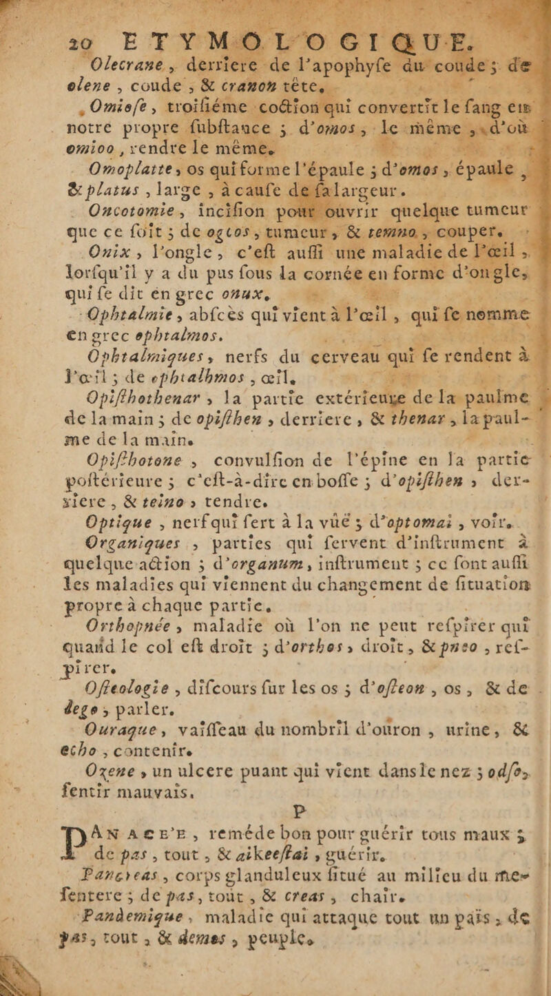 notre propre omioo , rendre Li Omoplatte, &amp; platus , large , Oncormies incifi c que ce foit; de ogtos ja 1 „Onix, l'ongle &gt; Cek auli Lorfqu' il y a du pus fous la corn qui fe dit én grec onux. ie -Ophtalnie, abfcès qui Stema ! en grec ophtalmos. * Ophralmiques , nerfs du dr u l'œil; de ophtalhmos , œil. “&gt; Opifthothenar ; la partie extérieure d de la main ; de opillhen ; derriere, &amp; ti ena me de la maine E. irig Opiffhotone , convulfon de l'épine en Ja pre t poftérieure ; ; c'eft-à-dire enboffe ; d' opifthen &gt;. der- xiere , &amp; teino &gt; tendre. Optique , nerf qui fert à la vué 5 d’optomai , Voile. à Organiques ; parties qui Certen: d'inftrument à. quelguea&amp;ion ; ; d'organum, inftrument ; ce font aufi les maladies qui viennent du changement de fituation propre à chaque partie, f Orthopnée ; maladie où l’on ne peut refpirér qu qui. quarid le col eft droït ; d’ orthos» droit, &amp; paeo , ref- irere Offeologie , difcours fur les os ; d’ofleo# , os, &amp; de . dego: &gt; parler. Ouragte, vaiffeau du nombril d'ouron , urine, &amp; i echo ; contenire 1 Ozene » un ulcere puant qui vient danste nez 5 odos &gt; fentir mauvais. d S £ Pp f | A ASEE, seu s pour guérir tous nraux 5 de pas , tout , &amp; zikee/fai , guérir, Piéi &gt; corps glanduleux fitué au milieu du mes 3 fentere ; de pas, tout, &amp; creas, chair. s “Pandemique , maladie qui attaque tout mn païs, de | pass tout, &amp; demes , peuples LA TE nt me PEN Dr vas
