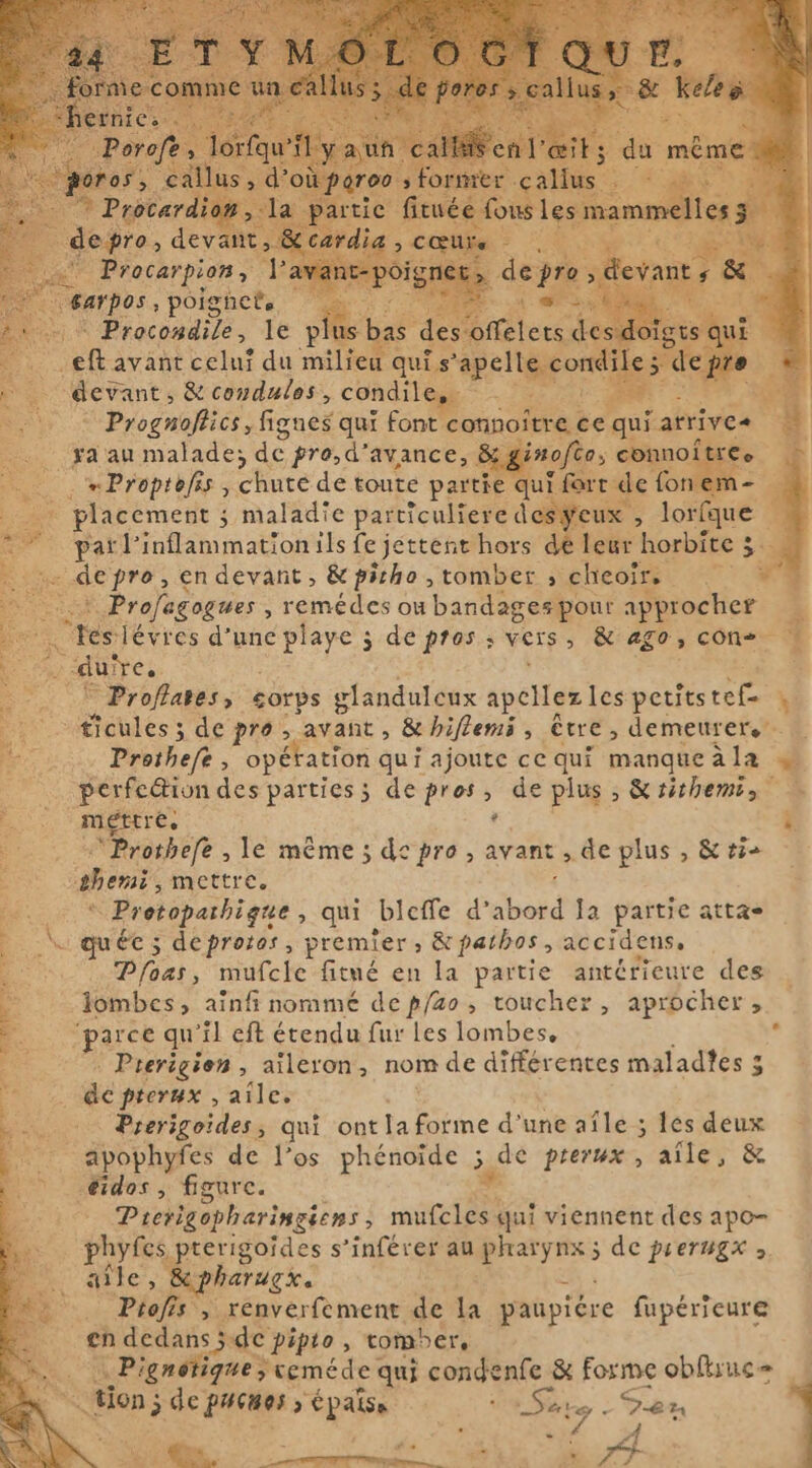 gd pti ip PORTER ‘TV Me le E bas de í stea desd devant 5 & condules, condile,. . Eee © Progmoflics, fignes qui font connoître, ce qui atrives à ya au malade; de pro,d’avance, £ ginofto, Re placement ; maladie particuliere desgeux , lorfque T pat l’inflammationils fe jettent hors de leur horbite 3 3 Profagogues , remédes oubandagespour approcher Tes: lévres d’une playe ; de pros ; vers, & ago, cone » duire, i © Proflates, « corps glandulcux apellez les petits a Prothefe , opération qui ajoute ce qui manque àla < perfection des parties; de a À > de plus, &réithem, mettre, ` ‘Prothefe , le même ; dopro, avant , de plus , & ri ` Protopathigue , qui bleffe d'abord Ja partie atta- quée; deproros, p premier, & pathos, accidens. Phas, anek: fitné en la partie antérieure des lombes, aïnfi nommé dep/zo, toucher, aprocher, © Prerigien , aileron, nom de différentes malades 3 dc pterux , aile. Prerigoides, qui ont la forme d'une afle ; les deux Prerlgopharingiens , ni qui viennent des apo- phyfes prerigoides s’inférer au pharynx; de prerugx ; dite, Papharugk. … Profis , renverfement de la paupiére fupérieure en dedans jde pipto > TOMDEr, Pignotigue; ceméde qui condenfe & Forme oblhuc= Yo; depucnos s épaisses —— Saro -Gan RE | Li Ws. ME ER :A TITRE a T