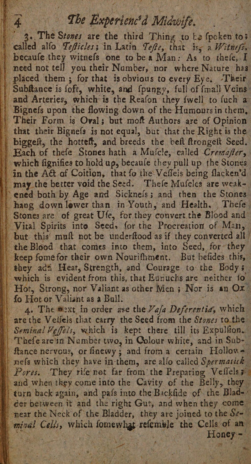 er ee The Stones are the third Thing to te fpoken tos. called alfo Teficles; in Latin Teffe, that iss a Witnefi. becaufe they witnefs one to bea Man: As to thefe, I need not tell you their Number, nor where Nature hag placed them ; for that is obvious to every Eye, ‘Their _ Subftance is foft, white, and fpungy, full of {mall Veins | and Arteries, which is the Reafon they {well to fuch a || Bignefs upon the flowing down of the Hamours in them, Their Form is Oval; but moft Authors are of Opinion that their Bignefs is not equal, but that the Right is the biggeft, the hotteft, and breeds the beft ftrongelt Seed. | Each of thefe Stones hath a Mulcle, called Cresafter, - if which fignifies to hold up, becaule they pull up the Stones ) Gn the Aét of Coition, that fo the: Veffels being flacken’d | may the better void the Seed. Thefe Mufcles are weak~_ 1) ened both by Age and Sickne/s; and then the Stones. ‘t hang down lewer than. in Youth, and Health. Thefe. |) Stones are of great Ufe, for they convert. the Blood and~ Vital Spirits into Seed. for the Procreation of Man, “but this’ muft not be underftood as if they converted all the Blood that comes into them, into Seed, for~ they | keep fomefor their own Nourifhment. But befides this, | they acti Hear, Strength, and Courage to: the Body s. i which is evident from this, that Eaxuchs are neither fo | Hot, Strong, nor Valiant as other Men ; : Nor As an Ox” i fo Hot or Valiant as a Ball. f | 4. The mexe. in order ave the Va/a Deferenti when i arethe Vellels that carry the Seed from the Stones to,the | Seminal Veffels, which is kept there till its Expulfion. 'Thefe are'in Number two, in Colour white, and in Sub-_ ‘ftance nervous, or finewy ; and froma certain Hollows ~mefs which they have in-them, are allo called Spermatich }) Pores. They rifenot far from’ the Preparing Veilels 3: ) and when they come into the Cavity of the Belly, they P) torn back again, and pafs into the Backfide of the Blad~ « }., der between it and the right Gut, and when they come” near the Neck of the Bladder, they are joined to the Se i minal Pao nonce inen ar: ar is the Cells of an ~ race i Z