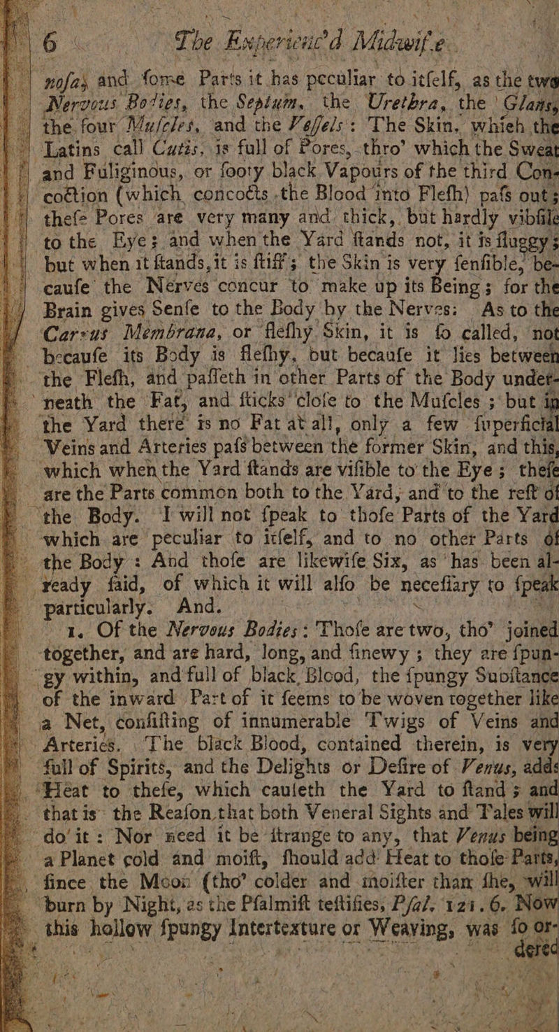 PO &amp; co Experic wed Midwife a nofas and fome Parts it ey peculiar. to itfelf, as the twa | Nervous Boies, the Sepium, the Urethra, ‘the Glans, the four Muj/cles, and the Vefels: The Skin, whieh. the i) Latins call Cutis, 1s full of Pores, thro’ which the Sweat ‘7% and Fuliginous, or footy black Vapours of the third Con- 4 coétion (which concotts .the Blood into Flefh) pafs out; the Pores are very many and thick, but hardly vibiile ‘tothe Eye; and when the Yard crane not, it fs flugey s “but when it fands,it is ftiff; the Skin is very fenfible, be. | caufe the Nérves ‘concur to make up its Being; for the Brain gives Senfe to the Body by the Nerves: As to the Carrus Membrana, or flefhy Skin, it is fo called, not becaufe its Body is flefhy, but becaafe it lies between the Flefh, and paffeth in other Parts of the Body under- ‘eath the Fat, and. fticks ‘clofe to the Mufcles ;\ but i the Yard there is no Fat atall, only a few. oka _ Weins and Arteries pafg between the former Skin, and this, “which when the Yard ftands are vifible to the Eye ; thefe are the Parts common both to the Yard, and to the reff of the Body. ‘I will not fpeak to thofe Parts of the Yard - “which are peculiar to itfelf, and to no other Parts of _ the Body : And thofe are likewife Six, as ‘has. been al- ready faid, of which it will alfo be neceflary to fpeak . particularly. And. a. Of the Nervous Bodies: Thofe are two, tho” joined ‘together, and are hard, long, and finewy ; they are {pun- “gy within, and’full of black Blood, the {pungy Subitance of the inward. Part of it feems to be woven together like a Net, confifting of innumerable Twigs of Veins and - Arteries. The black Blood, contained therein, is very full of Spirits, and the Delights or Defire of Venus, add: ‘Pleat to thefe, which cauleth the Yard to fland and _ thatis~ the Reafon. that both Veneral Sights and Tales will - do’it: Nor need it be itrange to any, that Venus being © aPlanet cold and moift, fhould add’ Heat to thole Parts, , fince the Moon (tho? colder and imoifter tham fhe, willl ‘burn by Night, as the Pfalmift teftifies, P/a/. 121.6. Now a this hell fperey Antertextare or Weaving, \ was ge