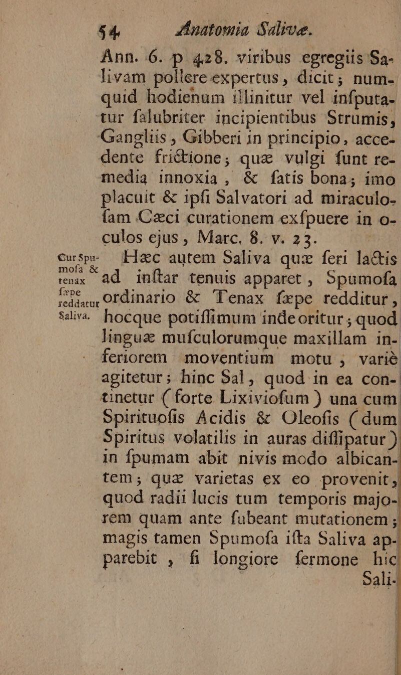 Ann. 6. p 428. viribus egregiis Sa- livam pollere expertus, dicit; num- quid hodienum illinitur vel infputa- tur falubriter incipientibus Strumis, Ganglius , Gibberi in principio, acce- dente fri&amp;tione; qua vulgi funt re- media innoxia , &amp; fatis bona; imo placuit &amp; ipfi Salvatori ad miraculo- fam Czci curationem exfpuere in o- culos ejus , Marc. 8. v. 23. | ad inftar tenuis apparet , Spumofa lingue mufculorumque maxillam in- feriorem moventium motu , varié agitetur; hinc Sal, quod in ea con- tinetur ( forte Lixiviofum ) una cum Spirituofis Acidis &amp; Oleofis ( dum. Spiritus volatilis in auras diflipatur ) in fpumam abit nivis modo albican- tem; quz varietas ex €o provenit; quod radii lucis tum. temporis majo- rem quam ante fubeant mutationem ; magis tamen Spumofa ifta Saliva ap- parebit , fi longiore fermone d ! ali-