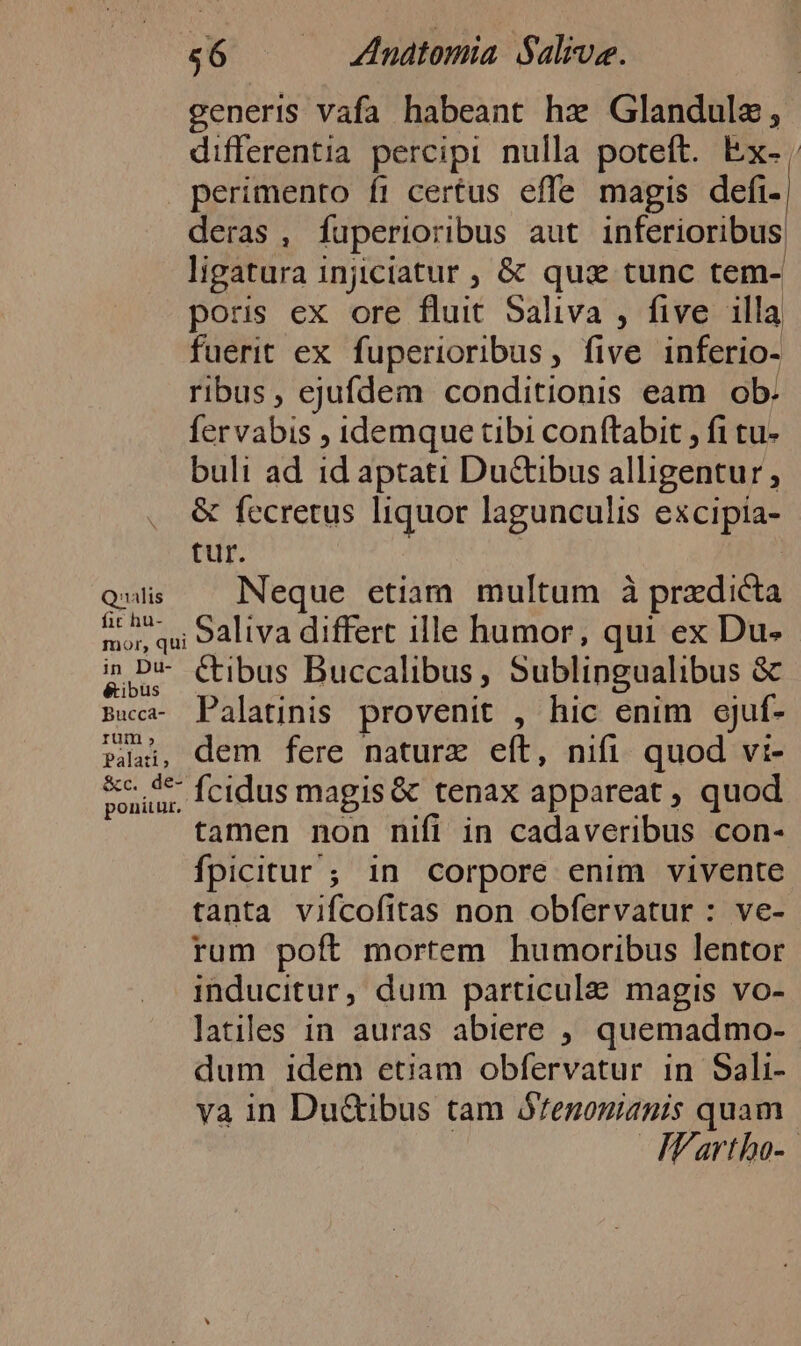 generis vafa habeant hz Glandule, differentia percipi nulla poteft. Ex- perimento fi certus effe magis defi- deras, fuperioribus aut inferioribus ligatura injiciatur , &amp; quz tunc tem- poris ex ore fluit Saliva , five illa fuerit ex fuperioribus, five inferio- ribus, ejufdem conditionis eam ob. fervabis ; idemque tibi conftabit , fi tu- buli ad 1d aptati Du&amp;Gtibus alligentur , &amp; fecretus liquor lagunculis excipia- tur. quis — Neque etiam multum à predicta mor qui 9aliva differt ille humor, qui ex Du- Ln Cibus Buccalibus, Sublingualibus &amp; Bca- Palatinis provenit , hic enim ejuf- sai, dem fere naturz eft, nifi. quod vi- Souua, (cidus magis &amp; tenax appareat, quod tamen non nifi in cadaveribus con- fpicitur ; in corpore enim vivente tanta vifcofitas non obfervatur : ve- rum poft mortem humoribus lentor inducitur, dum particula magis vo- latiles in auras abiere , quemadmo- dum idem etiam obfervatur in Sali- va in Du&amp;ibus tam Ófenonianis quam FFartho-.-