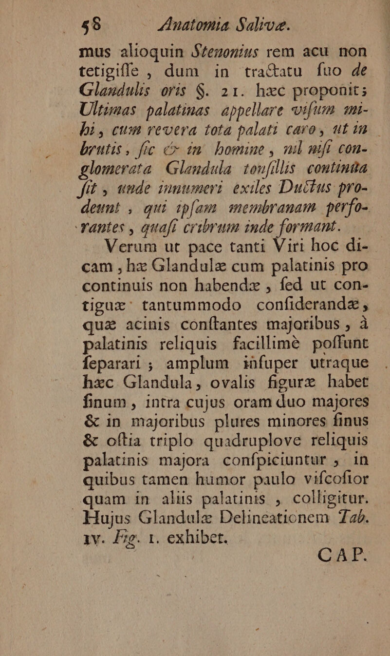 mus alioquin Bfezonius rem acu. non tetigiffe , dum in tra&amp;atu fuo de Glandulis oris S. 21. hxc proponit; Ultimas palatimas appellare vifus. qmi- bi, cum revera tota palati caro, utin — brutis. fic c im bomine , ml nift con- glomerata Glandula. toufillis. coutintia fit unde innumeri. exiles Ductus pro- deunt , qui ipfam membranam. perfo- antes , quaft cribrum inde formant. Verum ut pace tanti Viri hoc di-.- cam , hz Glandule cum palatinis pro continuis non habendz , fed ut con- tiguz' tantummodo confiderandz , qua acinis conítantes majoribus ; à palatinis reliquis facillime poffunt feparari ; amplum infuper utraque hxc Glandula, ovalis figure habet finum , intra cujus oram duo majores &amp; in majoribus plures minores finus &amp; oftia triplo quadruplove reliquis palatinis majora confpiciuntur ,. in quibus tamen humor paulo vifcofior quam in alus palatinis , colligitur. Hujus Glandalz Delincationem 726. iv. Fe. r. exhibet. | | CAFP.