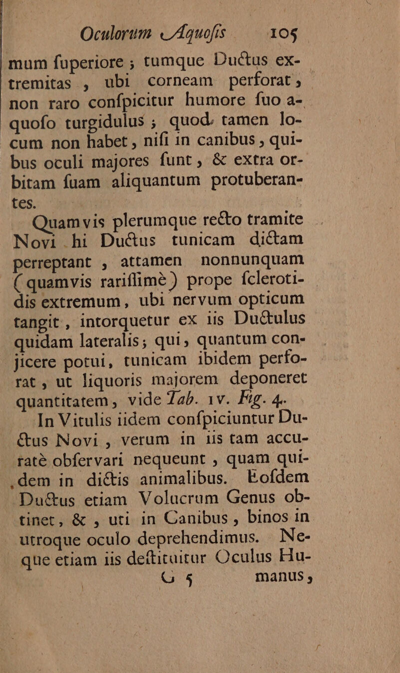 mum fuperiore ; tumque Ductus ex- tremitas , ubi corneam perforat; - non raro confpicitur humore fuo a- quofo turgidulus ; quod. tamen lo- cum non habet , nifi 1n canibus , qui- bus oculi majores funt, &amp; extra or- bitam fuam aliquantum protuberan- fes. | ; Quamvis plerumque re&amp;to tramite Novi hi Duc&amp;us tunicam dictam perreptant , attamen nonnunquam ( quamvis rariflimé ) prope ícleroti- dis extremum, ubi nervum opticum tangit, intorquetur ex iis Du&amp;tulus quidam lateralis; qui, quantum con- jicere potui, tunicam ibidem perfo- rat, ut liquoris majorem deponeret quantitatem , vide 7ab. 1v. Fig. 4. In Vitulis iidem confpiciuntur Du- &amp;us Novi , verum in iis tam accu- raté obfervari nequeunt , quam qui- .dem in dictis animalibus. Eofdem Du&amp;us etiam Volacrum Genus ob- tinet, &amp; , uti in Canibus , binos in utroque oculo deprehendimus. Ne- que etiam iis deftituitar Oculus Hu- G 5 manus