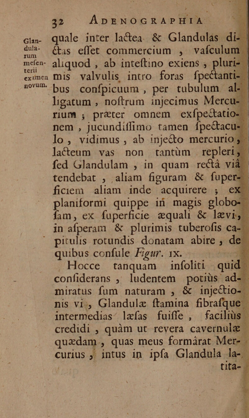 càn- quale inter lactea. &amp; Glandulas di- | iU- (tis effet commercium , vafculum | mefen- aliquod , ab inteftino exiens , pluris ' terit P exime miis. valvulis intro foras fpectanti- | »* bus confpicuum , per tubulum al-: - ligatum , noftrum injecimus Mercu- - rium ; preter omnem exfpe&amp;atio- | nem , jucundiffimo tamen fpec&amp;tacus | lo, vidimus , ab inje&amp;o mercurio y. lacdeum vas non tantüm repleri; fed Glandulam , in quam rectà vi - tendebat , aliam figuram &amp; fuper- ficem aliam inde acquirere ; ex. planiformi quippe iü magis globos. íam, ex fuperficie aequali &amp; levis. in afperam: &amp; plurimis tuberofis ca-: pitulis rotundis donatam abire ; de: quibus confule ÉEgur. xx. — |. ..2 . Hocce tanquam infoliti quid. confiderans ; ludentem potiüs ad- - miratus fum naturam , &amp; injeCtio- - nis vi Glandulz ftamina fibrafque intermedias. lzfas fuiffe , facilis | credidi , quàm ut revera cavernulz |- quzdam, quas meus formárat Mer- curius ;. intus in ipfa Glandula la-. tita-