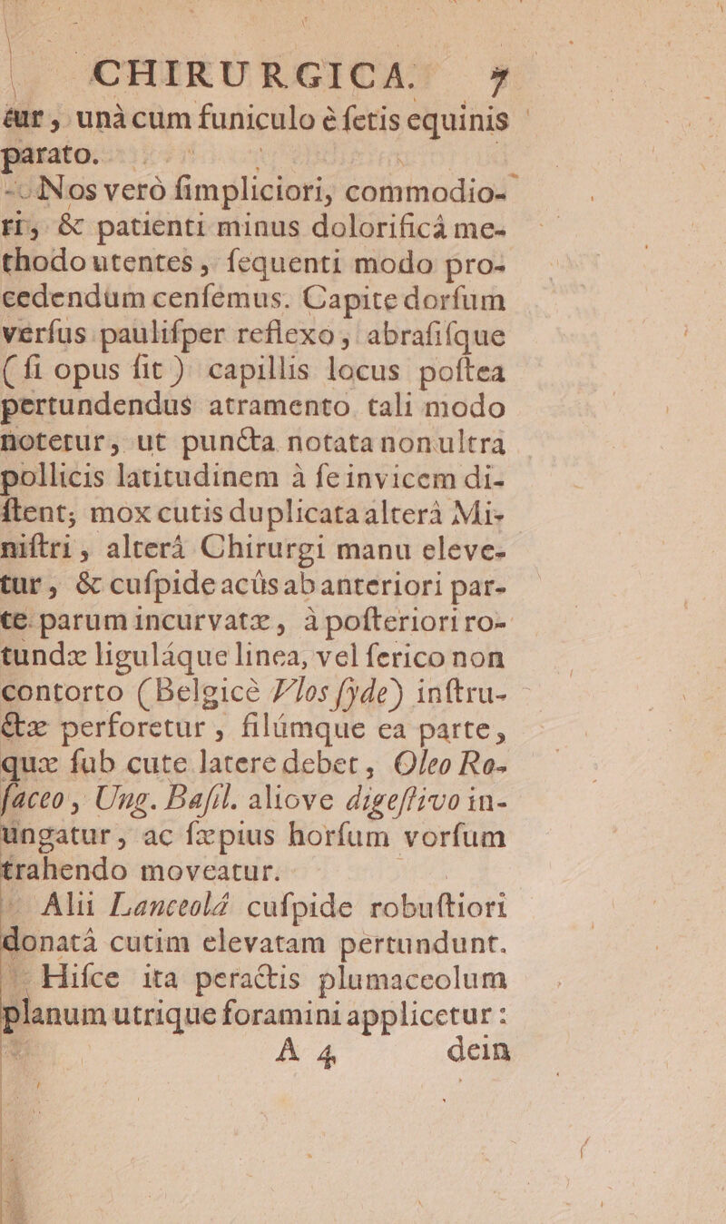 &amp;ur, unàcum funiculo? é fetis equinis - guo: ! -INos veró fimpliciori, commodio« ED, &amp; patienti minus dolorificá me- thodo utentes ,. fequenti modo pro- cedendum cenfémus. Capite dorfum verfus paulifper reflexo, abrafifque (fi opus fit ) capillis locus. poftea pertundendus atramento. tali modo notetur, ut puncta notata nonultra pollicis latitudinem à fe invicem di- Ílent; mox cutis duplicataalteráà Mi- niftri , alterá Chirurgi manu eleve- tur, &amp; cufpideacüsabanteriori par- te. parum incurvatz , à pofterioriro- tundz liguláque linea, vel ferico non contorto ( Belgice 77os fyde) inftru- - &amp;z perforetur, filámque ca parte, quz fub cute latere debet, Oleo Ro- faceo , Ung. Bafil. aliove digeffivo in- ungatur, ac fzpius horfum vorfum trahendo moveatur. - Alu Lanceol4. cufpide robuftiori donatà cutim elevatam pertundunt. — Hifce ita pera&amp;tis plumaceolum | lanum utrique foramini applicetur : E Á 4 dein