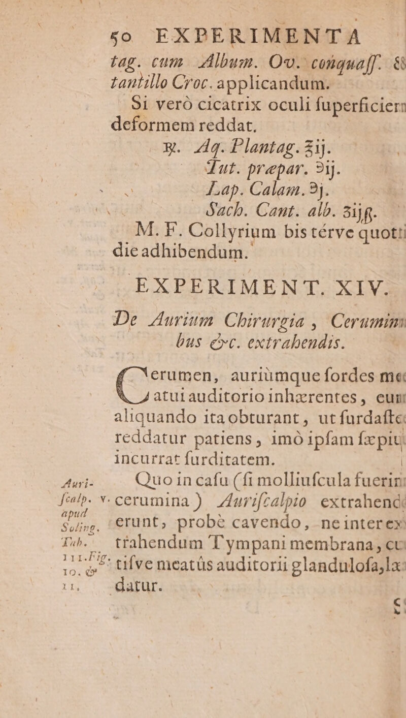 fag. cum. Albus. Ov. congquaff. &amp; taniille Croc. applicandum. 91 veró cicatrix oculi fuperficier deformem reddat. €. Zq.Plantag. zij. —— Mut. prepar. 91. - Lap.Calam.9j. —— Sacb. Cant. alb. Sijg. M.F. Collyrium bis térve quotti die adhibendum. EXPERIMENT. XIV. De Aurium: Chirurgia ,|' Cerumim bus e. rabo ipe. auriumque fordes m« aturauditorio inhzrentes, eum aliquando ita obturant , ut furdaíte: reddatur patiens, 1mó ipfam e pid incurrat furditatem. EURT Quo in cafu (fi molliufcula m fel. v- cerumina ). Zurifzalpio extrahendi V s, erunt, probe cavendo, neinterex I4... tfahendum T ympani membrana, co T tifve meatüs auditorii glandulofa,la: 11, ; MIR: [qu M i