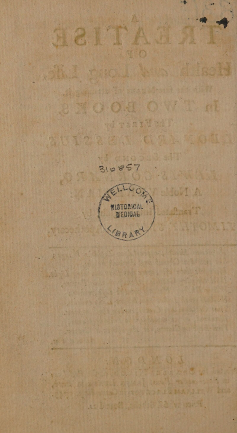 Rio FS 7 LEGG. 1 Ay BISTORICAL © BEDICAL ww 4 OF L