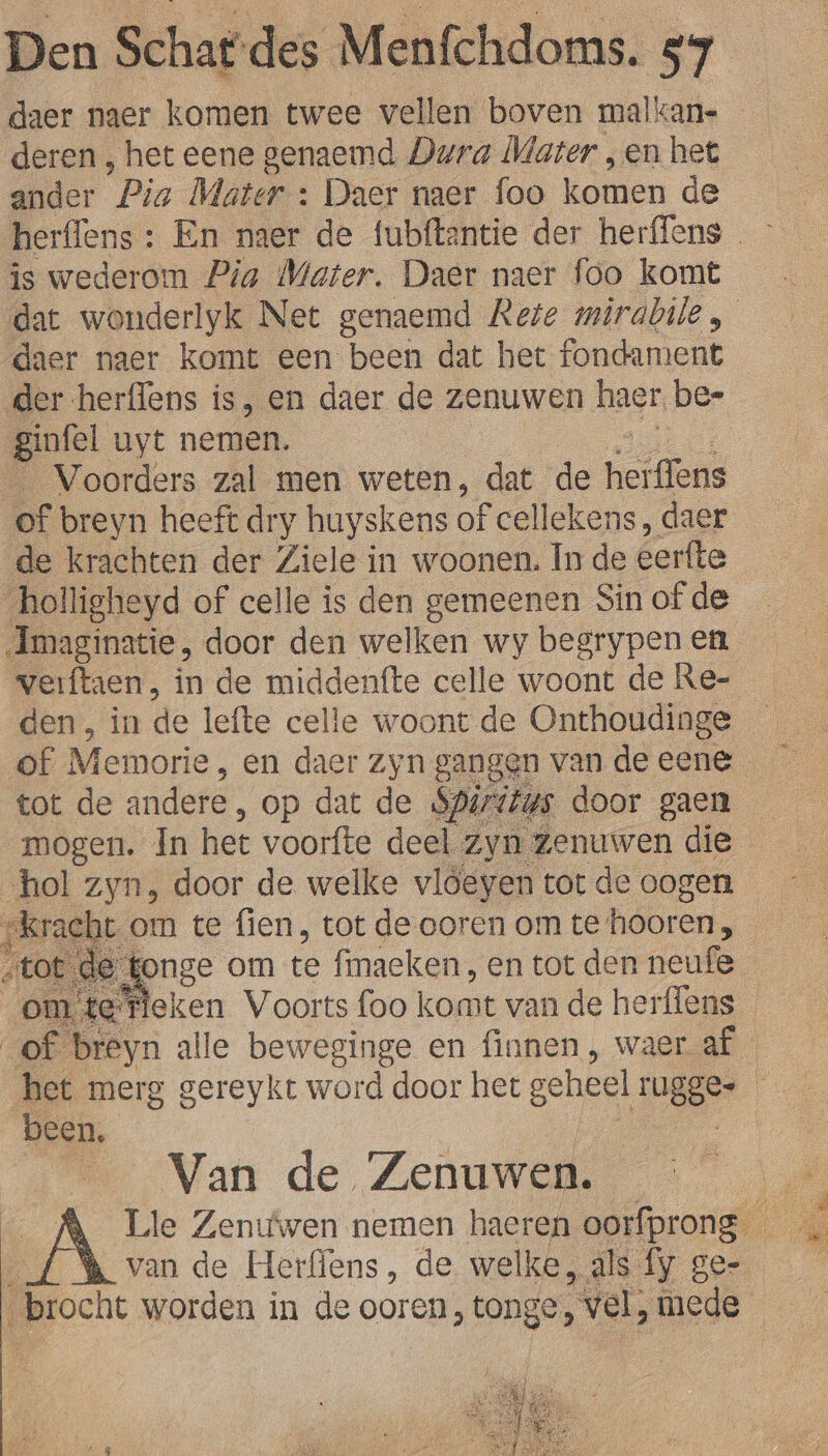 daer naer komen twee vellen boven malkan- deren , het eene genaemd Dura Mater ‚en het ander Pia Mater : Daer naer foo komen de herflens: En naer de fubftantie der herffens is wederom Pia Mater. Daer naer foo komt dat wonderlyk Net genaemd Kete mirabile, daer naer komt een been dat het fondament der herflens is, en daer de zenuwen haer be- Bil uyt nemen. _ Voorders zal men weten, dat de Ben of breyn heeft dry huyskens of cellekens, daer de krachten der Ziele in woonen. In de eerfte holligheyd of celle is den gemeenen Sin of de Amaginatie, door den welken wy begrypen en verftaen, in de middenfte celle woont de Re- den, in de lefte celle woont de Onthoudinge of Memorie, en daer zyn gangen van de eene _ tot de andere, op dat de Spiritus door gaen mogen. Ín het voorfte deel zyn zenuwen die hol zyn, door de welke vlóeyen tot de oogen „kracl tom te fien, tot de ooren om te hóören jd 4 onge om te fimaeken, en tot den neufe_ rtefleken Voorts foo komt van de herffens Zo breyn alle beweginge en finnen, waer af het merg gereykt word door het geheel rugge- | been, Van de Zenuwen. van de Herffens, de welke, als fy gee brocht worden in de ooren, tonge, vel, „mede | |