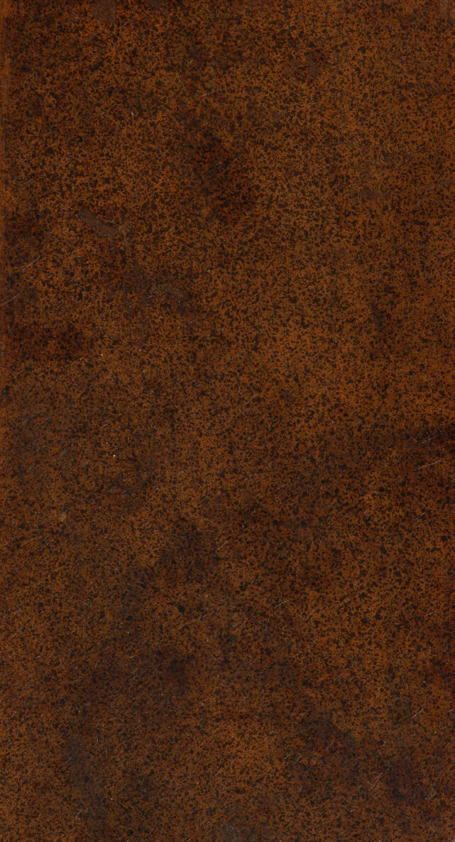 digitised image 1