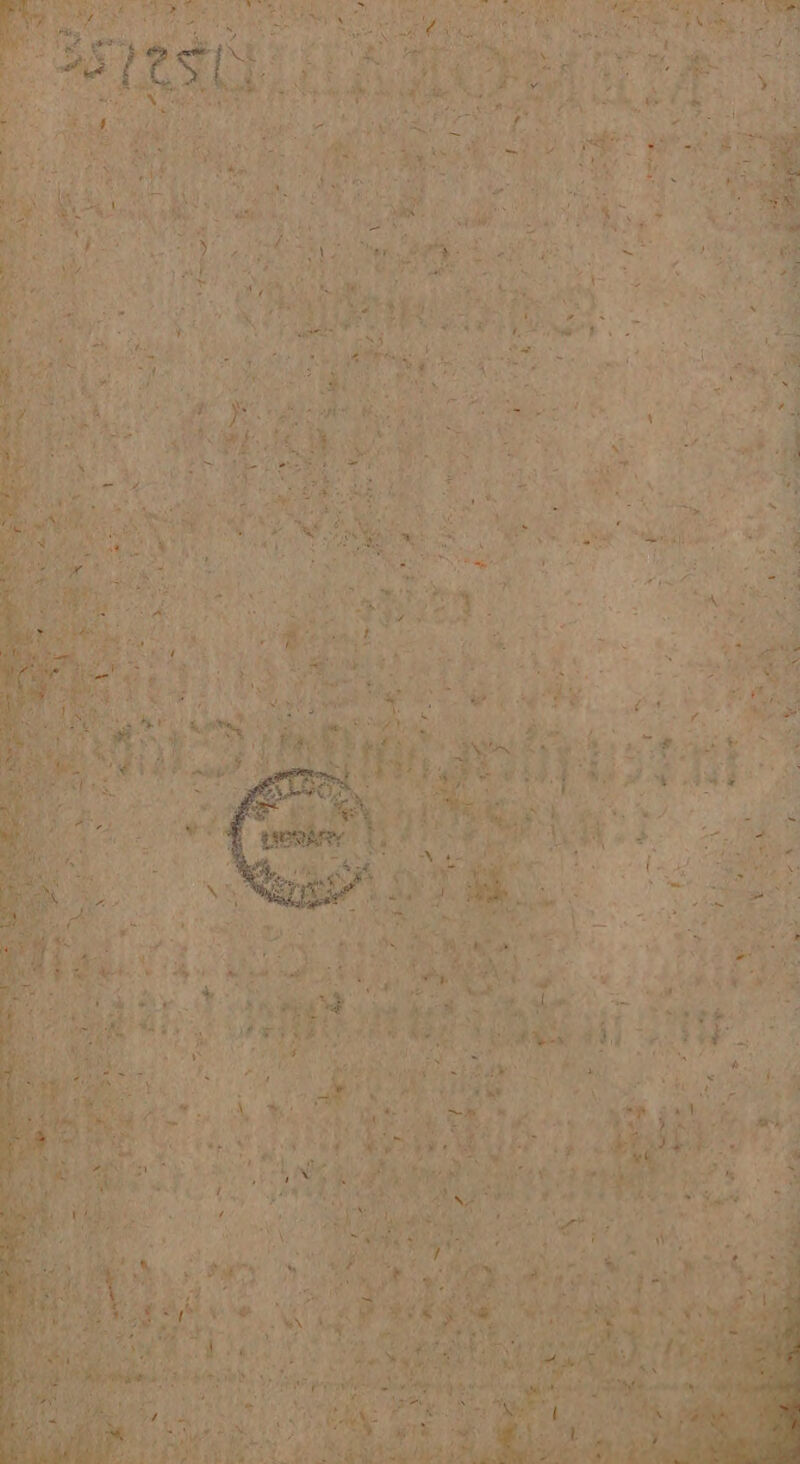 u ae 279 rene Aus < EN EN