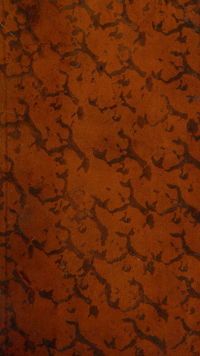 digitised image 1