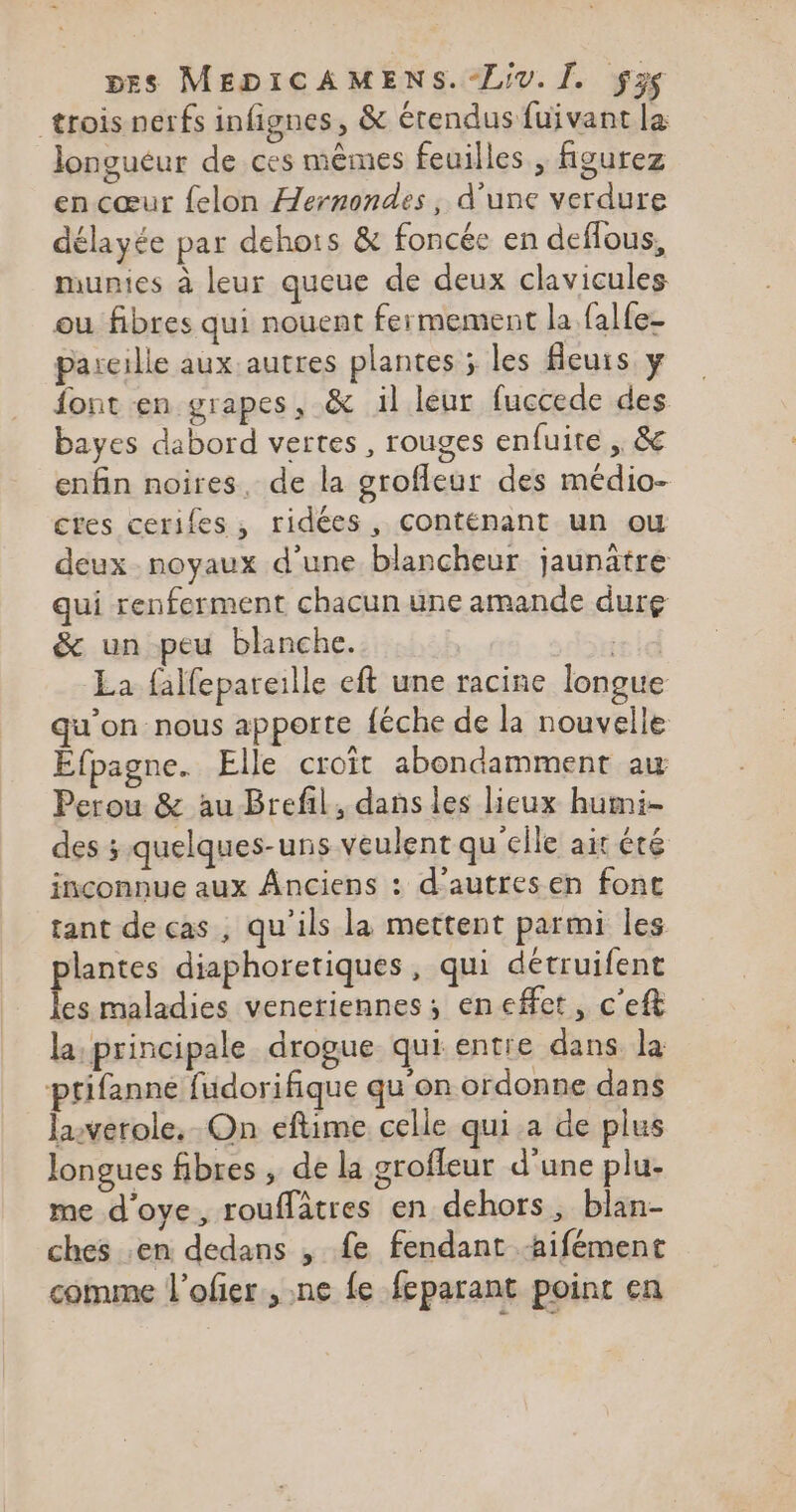 trois nerfs infignes, &amp; étendus fuivant la longuéur de ces mêmes feuilles , figurez en cœur felon Hernondes, d'une verdure délayée par dehois &amp; foncée en deflous, munies à leur queue de deux clavicules ou fibres qui nouent fermement la fal{e- pareille aux autres plantes ; les fleuis y font en grapes, &amp; 1l leur fuccede des bayes dabord vertes, rouges enfuite ,. &amp; enfin noires, de la grofleur des médio- cres cerifes, ridées , conténant un ou deux noyaux d'une blancheur jaunatre qui renferment chacun üne amande dure &amp; un peu blanche. el La falfeparealle eft une racine longue qu’on nous apporte féche de la nouvelle Efpagne. Elle croît abondamment aw Perou &amp; au Brefil, dans les eux humi- des ; quelques-uns veulent qu'elle air été inconnue aux Anciens : d’autresen font tant de cas , qu'ils la mettent parmi les plantes diaphoretiques, qui détruifent les maladies veneriennes; eneffet, c'eft la, principale drogue qui entre dans la ptifanne fudorifique qu on ordonne dans lawerole. On eflime celle qui a de plus longues fibres , de la grofleur d'une plu- me d'oye, rouffâtres en dehors, blan- ches en dedans , fe fendant -aifément comme l’ofier , ne fe feparant point en