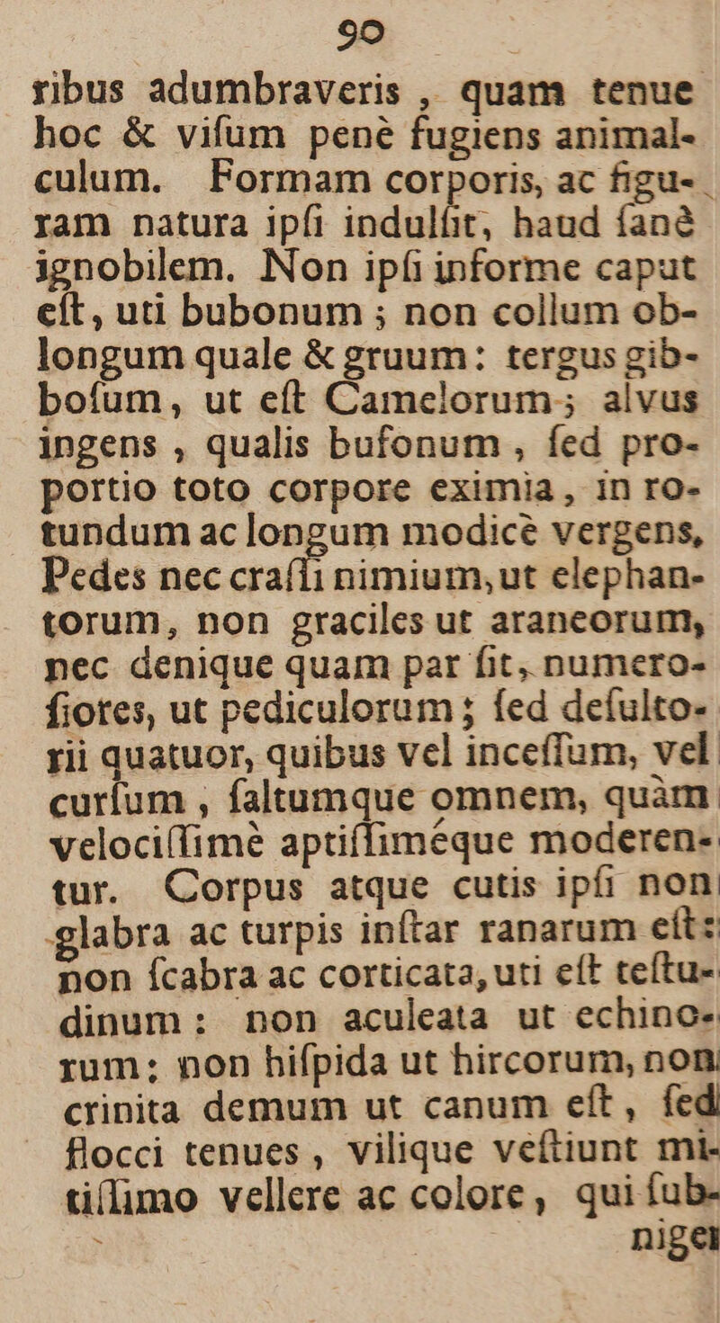 rius adumbraveris , quam tenue hoc &amp; vifum pene fugiens animal- culum. Formam corporis, ac figu- ram natura ipfi indulíit; haud íané ignobilem. Non ipfi informe caput elt, uti bubonum ; non collum ob- longum quale &amp; gruum: tergus gib- boíum, ut eít Camelorum; alvus ingens , qualis bufonum , fed pro- portio toto corpore eximia, in ro- tundum ac longum modice vergens, Pedes nec e nimium,ut elephan- torum, non graciles ut araneorum, nec denique quam par fit, numero- fiotes, ut pediculorum ; fed defulto-. rii quatuor, quibus vel inceffum, vel: curíum , faltumque omnem, quàm. veloci(Timé aptiffiméque moderen- tur. Corpus atque cutis ipfi non glabra ac turpis inftar ranarum eit: non Ícabra ac corticata, uti eft teftu- dinum: non aculeata ut echino- rum; non hifpida ut hircorum, non crinita demum ut canum eít, fed flocci tenues, vilique veftiunt mi- tiffimo vellere ac colore, qui íub- ; | nigei