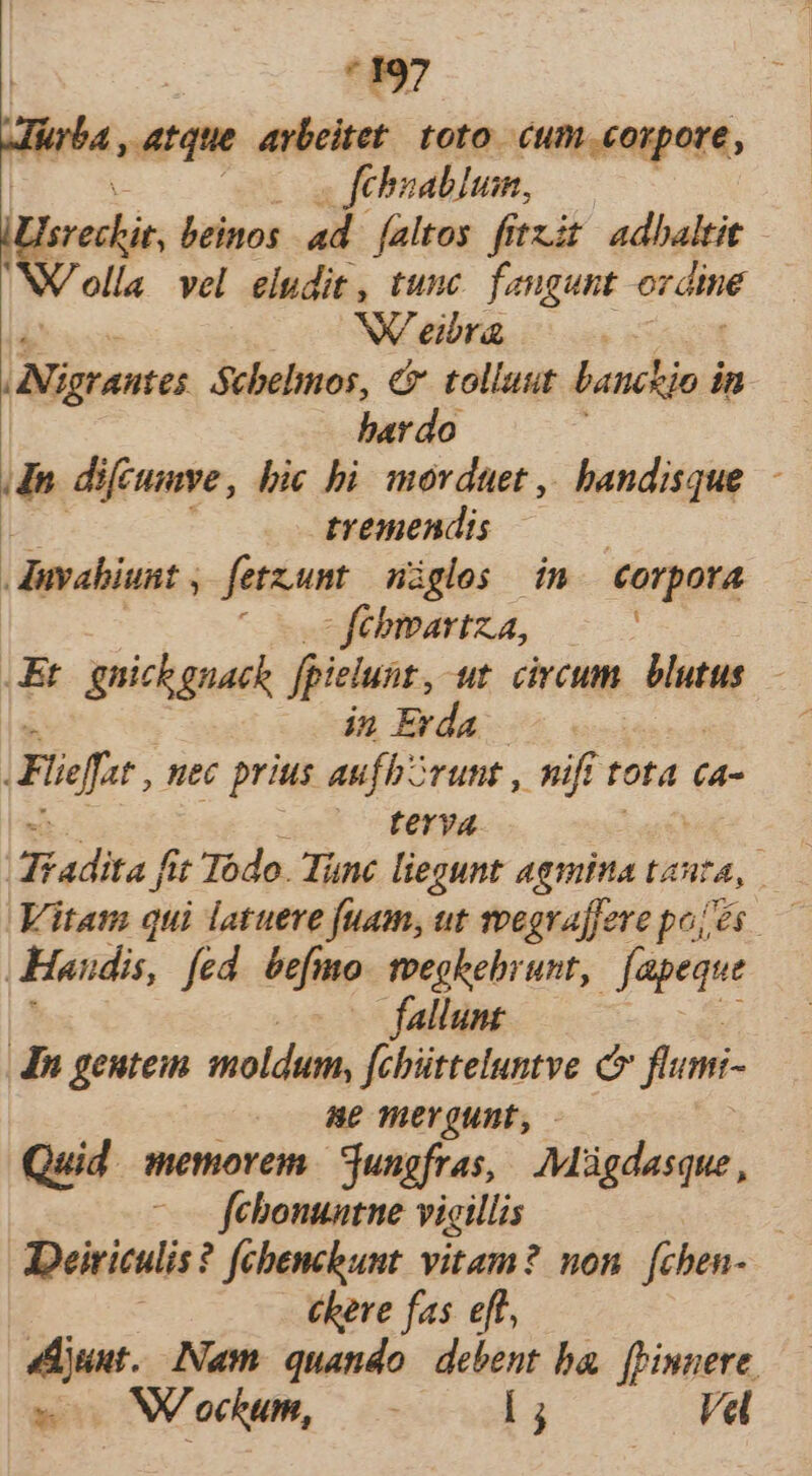 nba Atque arbeitet. toto. cum corpore, febuabluim, iUIsrechir beinos ad. [altos fitzit adbaltit NV ella vel eludit , tunc. feugunt ordine NV eibra ANigrants Sebelimos, €? tolluut banchjo in bardo dn difcumve, bic bi. morduet ,, handisque. - tremendis Jinvabiunt , j fetzum nigles im. corpora fébwartza, 7 Et gnichgnack fpicluns, ut circum blutus.— in Erda.— | Fiffe, nec prius aufbSrunt , nif t tota €a- terya Tiadita fi fit Todo. Tunc liegunt agmina tanta, Vitam qui latuere fuam, ut voegraffere poj és — Haudis, fed. befimo. toeghebrunt, fapeque fallunt In geuteim moldum, fcbütteluntve c fumi- 8e mergunt, - Quid memorem. | Sungfras, Mügdasque, (0 fehonuatne vicillis Deiriculis? fchenchunt. vitam? non [chen- chere fas eff, Aiunt. Nam. quando. debent ba. (Vinnere, * . NV'ockum, [j Vel