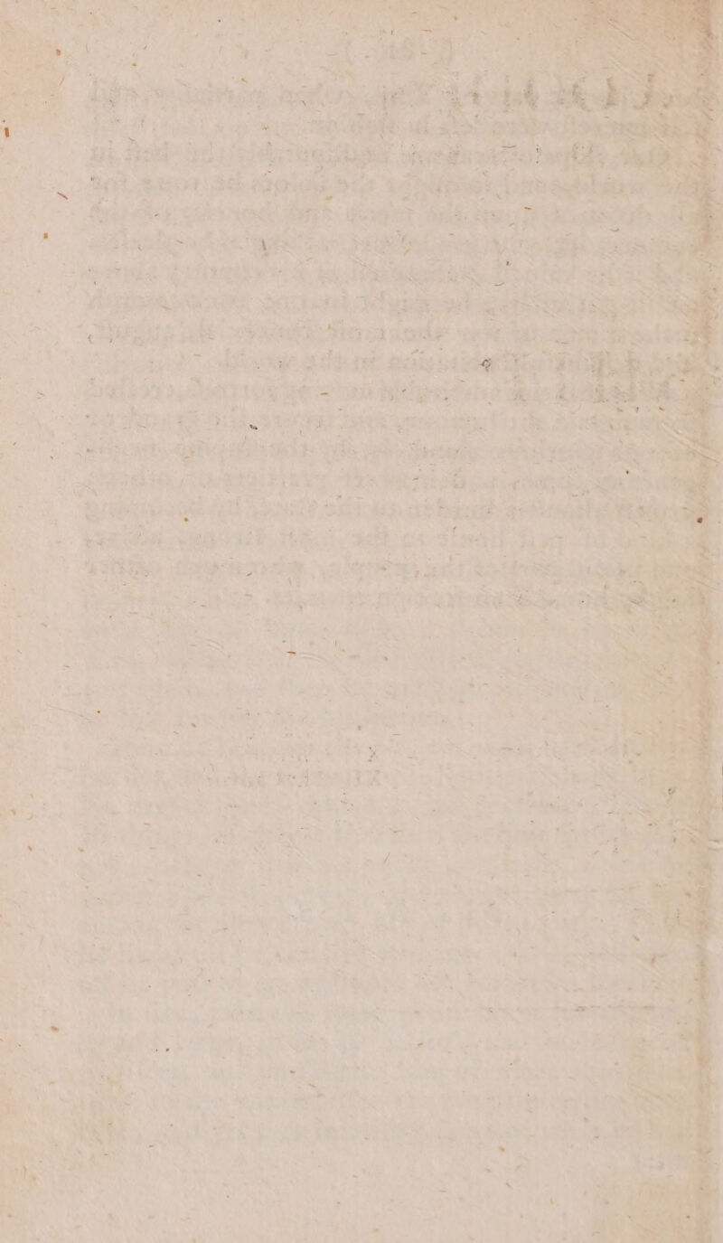 ¥ ony ato i tae: 1 aes ele es eg aie tt rep ik e Ri a PRS r TR eo a ee > a 4 he