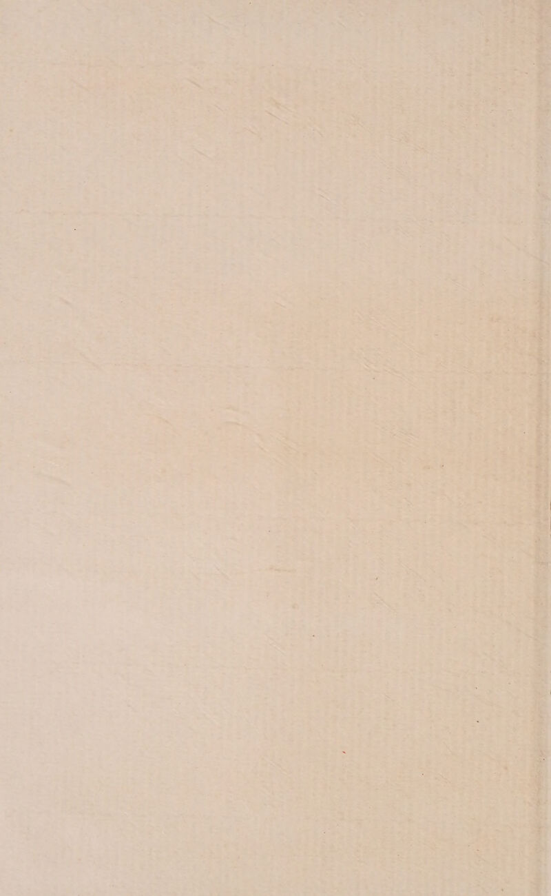 , é : TA + - pe Ro Pt A “E tea PN sede pl ; Re rag ds dor * A TED 42 ra A edge Ê És de dedos AS ds À - ia Raras dead) f E E and Si A É a é Di Pr A FTA AT piada tás, pf DO SELO ç N Pai Y Ses LP TES ndo E enfobo o À La MS A SS REAd ug