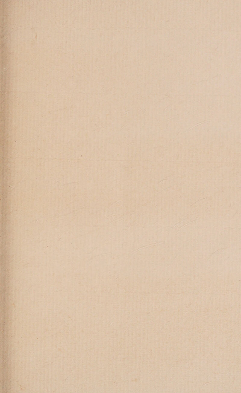 ' k k N ' É 4 ' o a j w = Ê N E * : E + R | k a N : À À , Ve ? qá ' o ' qe. wa á io =, e! E a ç ? ' PRE) E k , ' ' y pt fo ' od sia o q k = 4 q  “ k ” à x by k . Arias 1a  UA 7 . Ne ad ' 4 p ç VE De