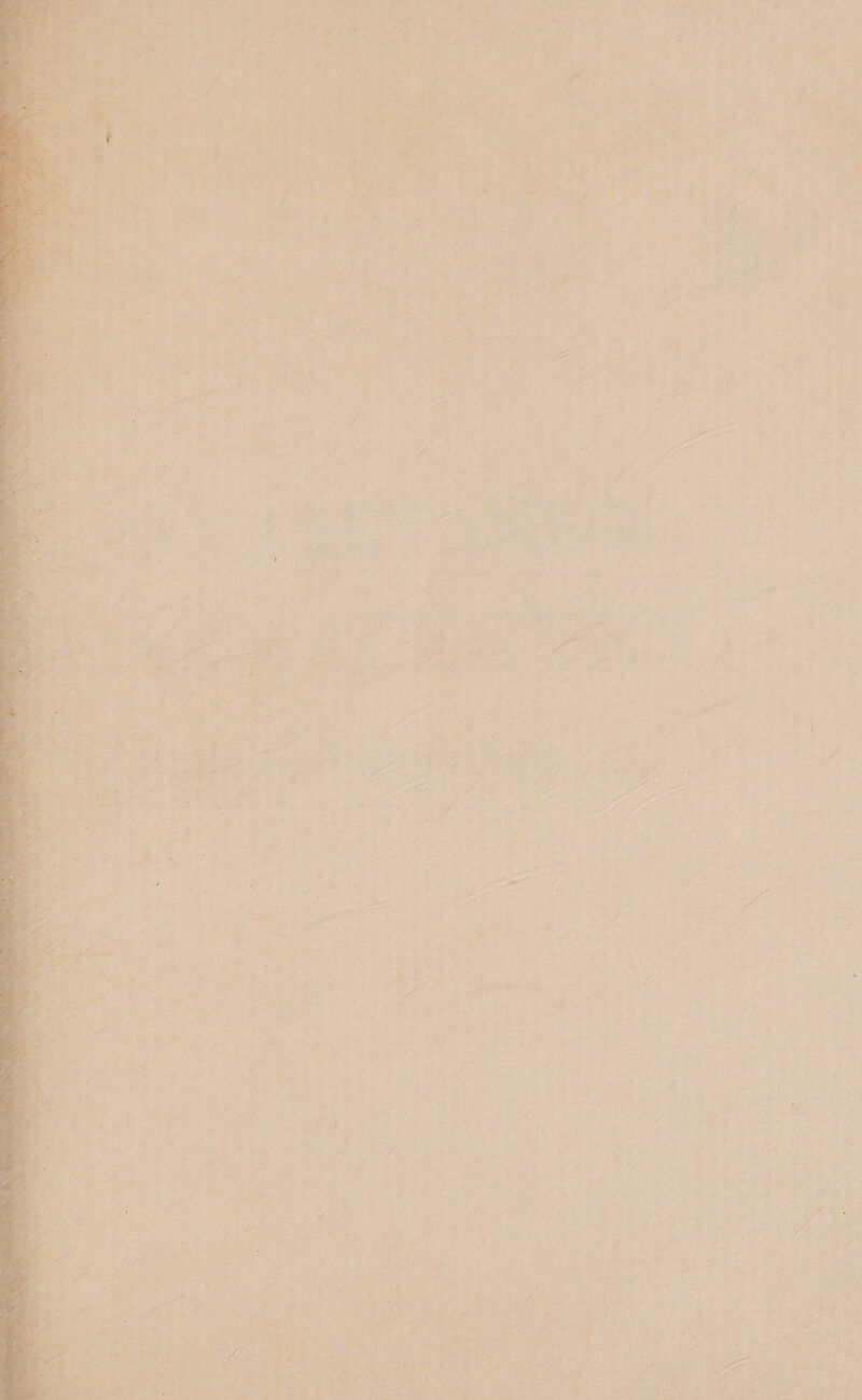 a a çá , é “ea a “a e + Eorthe + À = q ; : 4 y 4 ç ' xa E BoE's, S 1 í N + + N N - f 1 ) é q A x va a na 1 N É ' f o nio k E v e A, q p > ap w Ay: R ” x Ro, ”, - E 4 ) es É Es. E