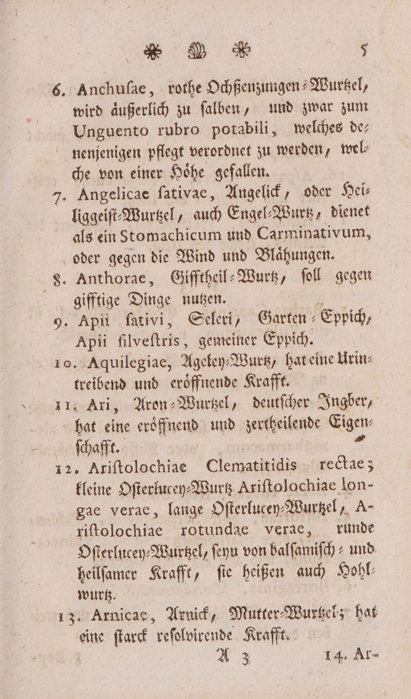 DD %*% Be, '6. Anchufße, vothe OchßenzungenWurgel, wird äußerlich zu falben, amd zwar zum Unguento rubro potabili, weldjes de; nienjenigen pflegt verordnet ju werden, wel he von einer Höhe gefallen. 7. Angelicae fativac, Angelif, oder Keis Kiggeif.Wursel, aud Engel-IBurg, dienet alg ein Stomachicum und Carminativum, ‚oder gegen die Wind und Blähungen. $. Anthorae, Gifftheil-Wurs, fol gegen giftige Dinge nußen. | | 9. Apü fativi, Seleri, Garten : Eppid), Apüi filveftris, gemeiner Eppich. 10. .Aquilegiae, Ageley-Wurk, hateine Urin treibend und eröffnende Krafft. 31, Ari, Aron-Wurgel, deutfcher Ingber, - hat eine eröffnend und zertheilende Eigen ale nr = 12. Ariftolochiae Clematitidis rectae; Fleine Ofterbucey: Burk Ariftolochiae lon- gae verae, lange Ofterlucey-Wurgel, A- riftolochiae rotundae verac, runde Dfterkucey- Wursel, feyu von balfamifch > und. heilfamer Kraft, fie heißen auh Kohl wurß. | | 13. Arnicae, Arnik, Murter-Wurkeis hat eine flarcf vefoloicende Kraft, Ä | 43 14. Al-