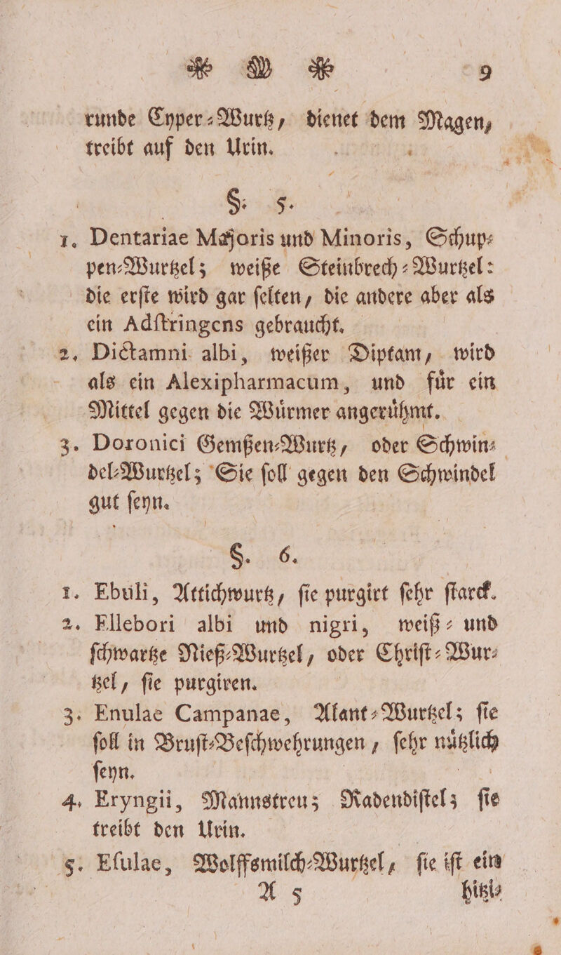 runde Enper-Wurk, dienet dem Magen, treibt auf den Wein. \ Fe SER. r ı. Dentariae Majoris und Minoris, Schup: per-MWurkel; weiße Steinbrecd) : Wursel: die erfte wird gar felten, die andere aber als ein Adftringens gebraucht, 2, Dietamni: albi, weißer Diptam, wird Mittel gegen die Würmer angerühmt. del MWursel; Sie fol gegen den Schmindel gut fen. S,;40% 1. Ebuli, Attihwurk, fie purgier fehr flardk. 2. Ellebori albi und nigri, meiß: und fhwarge Nieß-Wurgel, oder Chrift- Wur: Bel, fie purgiven, 3, Enulae Campanae, Alant»Wurkel; fie fol in Bruft-Befchwehrungen , fehr lic) feyn. 4, Eryngii, Mannstreuz; Nadendiftel; fie freibt den Urin. 5. Efulae, Wolffsmilh-Wurkel, fie ift ein