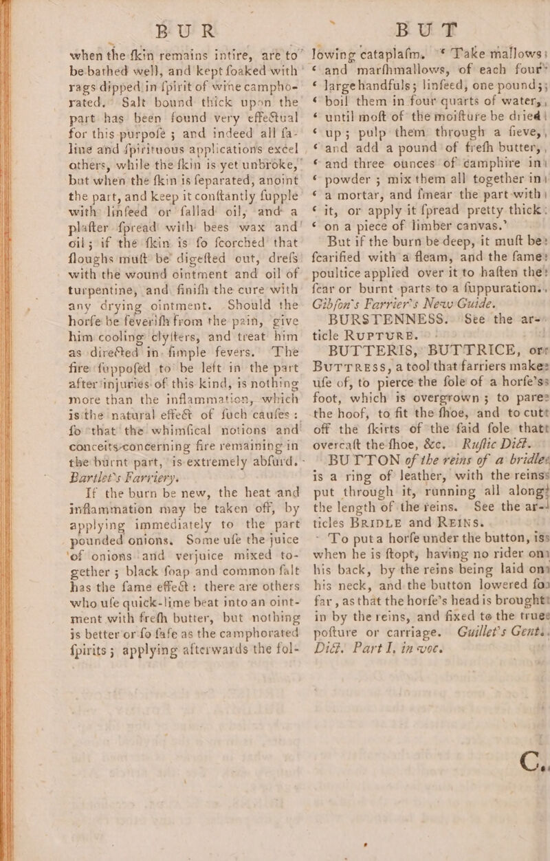 BUR rags dipped in {pirit of wine campho- rated.” Salt bound thick upon the part has been found very effectual for this-_purpofe ; and indeed all fa- ling and {pirituous applications excel others, while the fkin is yet unbroke, | bat when the fkin is feparated, anoint the part, and keep it conftantly fupple with: linfeed or fallad oil; and a plafter f{pread' with bees wax and! oil; if thé fkim is fo feorched that floughs muft be’ digefted out, drefs _ with the wound ointment and oil of turpentine, and) finifh the cure with any drying ointment. Should the horfe be feverifh from the pain, give him cooling’ clyiters, and treat him as dire‘ted in. fimple fevers.’ The fire fuppofed to be left in the part after ‘injuries of this kind, 1s nothing more than the inflammation, which is‘the natural effect of fuch caules : fo that the whimfical notions and’ conceits-concerning fire remaining in Bartlet’s Farriery. If the burn be new, the heat and inflammation may be taken off, by applying immediately to the part pounded onions. Some ufe the juice ‘of onions:and verjuice mixed to- gether ; black foap and common falt has the fame effect: there are others who ule quick-lime beat into. an oint- ment with frefh butter, but nothing js better'or fo fafe as the camphorated fpirits ; applying afterwards the fol- BU T lowing cataplafm. ~* Take mallows; ‘ and marfhmallows, of each four® ‘ large handfuls; linfeed, one pound; ; “boil them in four quarts of water,, * until moft of the moifture be dried | ‘up; pulp them througl a fieve,, ‘and add a pound of frefh butter, , * and three ounces of camphire ini © powder ; mix them all together ini ‘ a mortar, and {mear the part with) ‘it, or apply it {pread pretty thick: ‘ on a piece of limber canvas.” But if the burn be deep, it muft be: fearified with a fleam, and the fame: poultice applied over it to haften the? fear or burnt parts to a fuppuration.. Gibjon’s Farrier’s New Guide. BURSTENNESS. See the ar= ticle RUPTURE. ©: tt BUTTERIS, BUTTRICE, ors BuTTRESS, a tool that farriers make: ufe of, to pierce the fole of a horfe’ss foot, which is overgrown 3 to pares the hoof, to fit the fhoe, and to cutt off the fkirts of ‘the faid fole thatt overcatt the fhoe, &amp;c. Rujlic Did. BUTTON of the reins of a bridles is a ring of leather, with the reinss put through it, running all along} the length of the reins. See the ar- ticles BRIDLE and REINS. - To puta horfe under the button, iss when he is ftopt, having no rider om) his back, by the reins being laid om his neck, andthe button lowered fa far , as that the horfe’s head is broughtt in by the reins, and fixed to the trues pofture or carriage. Guillet’s Gents. Did. Part I. in voe. .