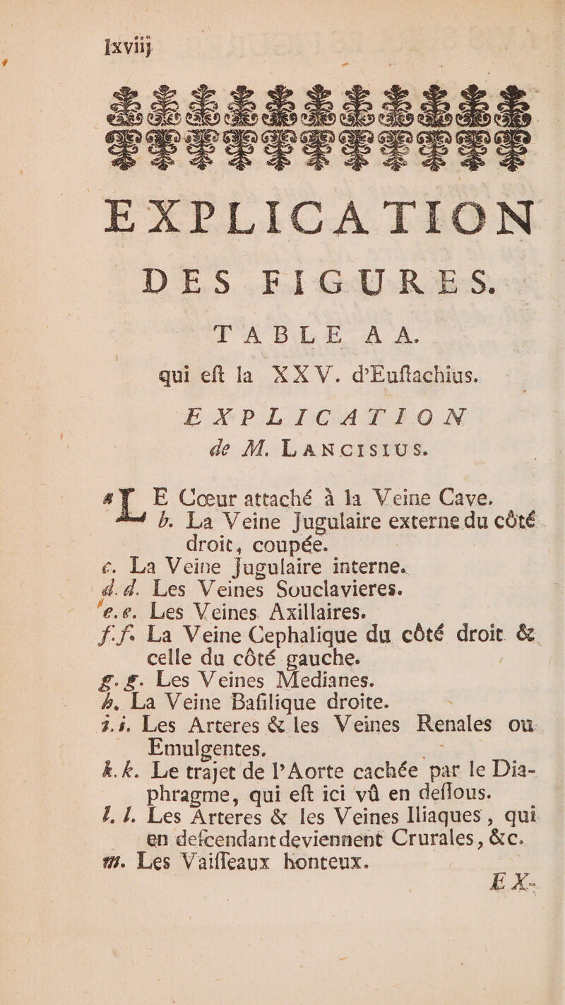 Ixviü} LÉSESSEÉSES EXPLICATION D ES FIGURES FABLE. A 2. qui eft la XXV. d'Euflachius. E XP LICATEFON de M. LANCISIUS. ‘LE E Cœur attaché à la Veine Cave. — b. La Veine Jugulaire externe du côté. droit, coupée. é. La Veine Jugulaire interne. 4.4. Les Veines Souclavieres. e.e. Les Veines Axillaires. f.f. La Veine Cephalique du côté droit &amp;. celle du côté gauche. g.g. Les Veines Medianes. #, La Veine Baflique droite. 3.5, Les Arteres &amp; les Veines Renales où Emulgentes, sl &amp;.k. Le trajet de l’Aorte cachée par le Dia- phragme, qui eft ici vû en defflous. 7, 1, Les Arteres &amp; les Veines Iliaques, qui en defcendant deviennent Crurales, àc. #. Les Vaifleaux honteux. se