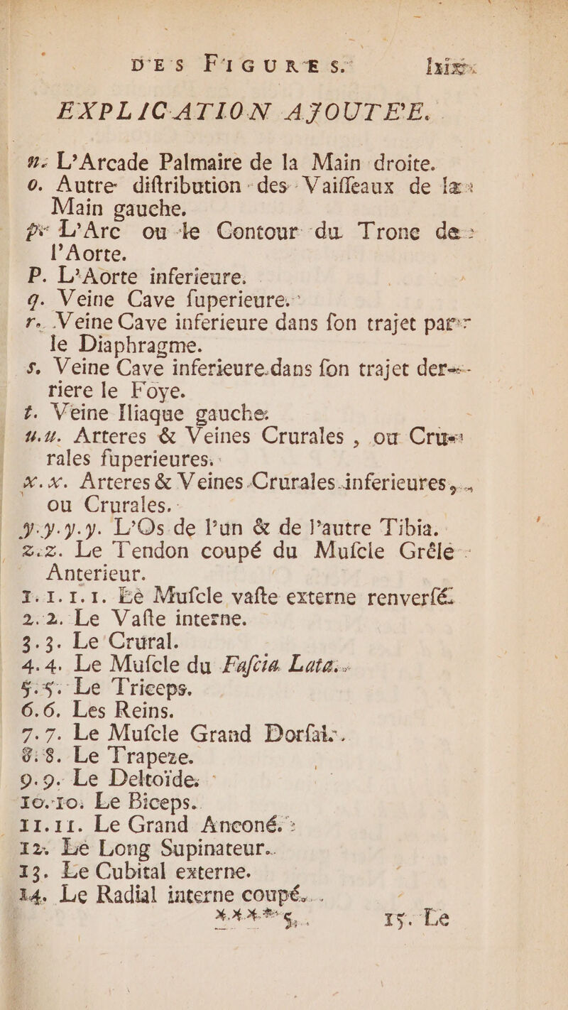 DES FIGURES. | Ixixx EXPLICATION AJOUTE’. #: L’Arcade Palmaire de la Main droite. o. Autre diftribution des Vaifleaux de {x: Main gauche. f* L’Arc ou ke Contour du Trone de: l’Aorte. P. L’Aorte inferieure. g. Veine Cave fuperieure. r.. .Veine Cave inferieure dans fon trajet par:r le Diaphragme. s, Veine Cave inferieure.dans fon trajet der riere le Foye. t. Veine Iliaque gauche: 4.y. Arteres &amp; Veines Crurales , OÙ Crèn rales fuperieures.: %.x. Arteres &amp; Veines -Crurales.inferieures,… ou Crurales. _ y... L’Os de l’un &amp; de l’autre Tibia. _ 2:z. Le Tendon coupé du Muicie Grêlée : Anterieur. 1.1.1. Eè Mufcle xd externe renverfé. Le Vafte interne. . Le'Crural. . Le Mufcle du Fafita Late. . Le Triceps. . Les Reins. . Le Mufcle Grand Dorfat.. . Le Trapeze. - Le Deltoïde: : roro, Le Biceps. _ 11.11. Le Grand Anconé. : 12. Le Long Supinateur.. 13. Le Cubital externe. 14. Le Radül LS OnbEs TJ. 27 3: 4. 5. 6. 7: Gi 9.£ 7e cé à AA % b it 15 Le