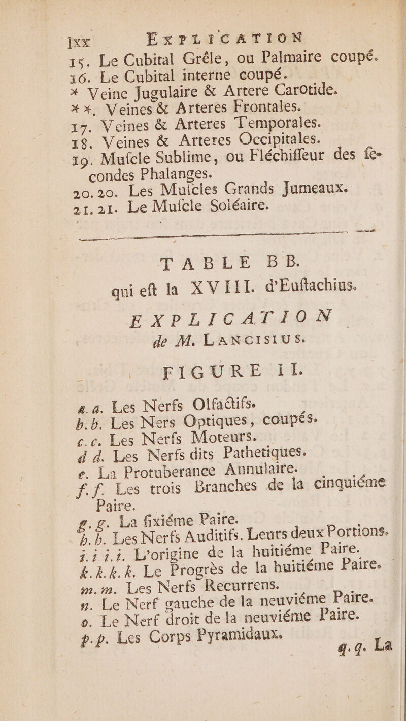 15. Le Cubiral Grêle, ou Palmaire coupé. 16. Le Cubital interne coupé. * Veine Jugulaire &amp; Artere Carotide. **, Veines &amp; Arteres Frontales. 17. Veines &amp; Arteres Temporales. 18. Veines &amp; Arteres Occipitales. 19. Mufcle Sublime, ou Fléchiffeur des fe- condes Phalanges. 0.20. Les Muicles Grands Jumeaux. 21.21. Le Mulcle Soiéaire. EE EN CET NAT D D —_—“# TABLE 5% qui eft la XVIIT. d'Euftachius. EXPLICATION de M. LANCISIUS. FIGUREUIE 2.4. Les Nerfs Olfadtifs. b.b. Les Ners Optiques, coupés: cc Les Nerfs Moteurs. d d. Les Nerfs dits Pathetiques. e. La Protuberance Annulaire. f.J. Les trois Branches de la cinquiéme Paire. g.g. La fixiéme Paire. ». bp. Les Nerfs Auditifs. Leurs deux Portions. 5.1 i.i. L'origine de la huitiéme Paire. k.k.k.Rk. Le Progrès de la huitiéme Paire. m.m. Les Nerfs Recurrens. #. Le Nerf gauche de la neuviéme Paire. 0. Le Nerf droit de la neuviéme Paire. p.p. Les Corps Pyramidaux. | | q.q. La