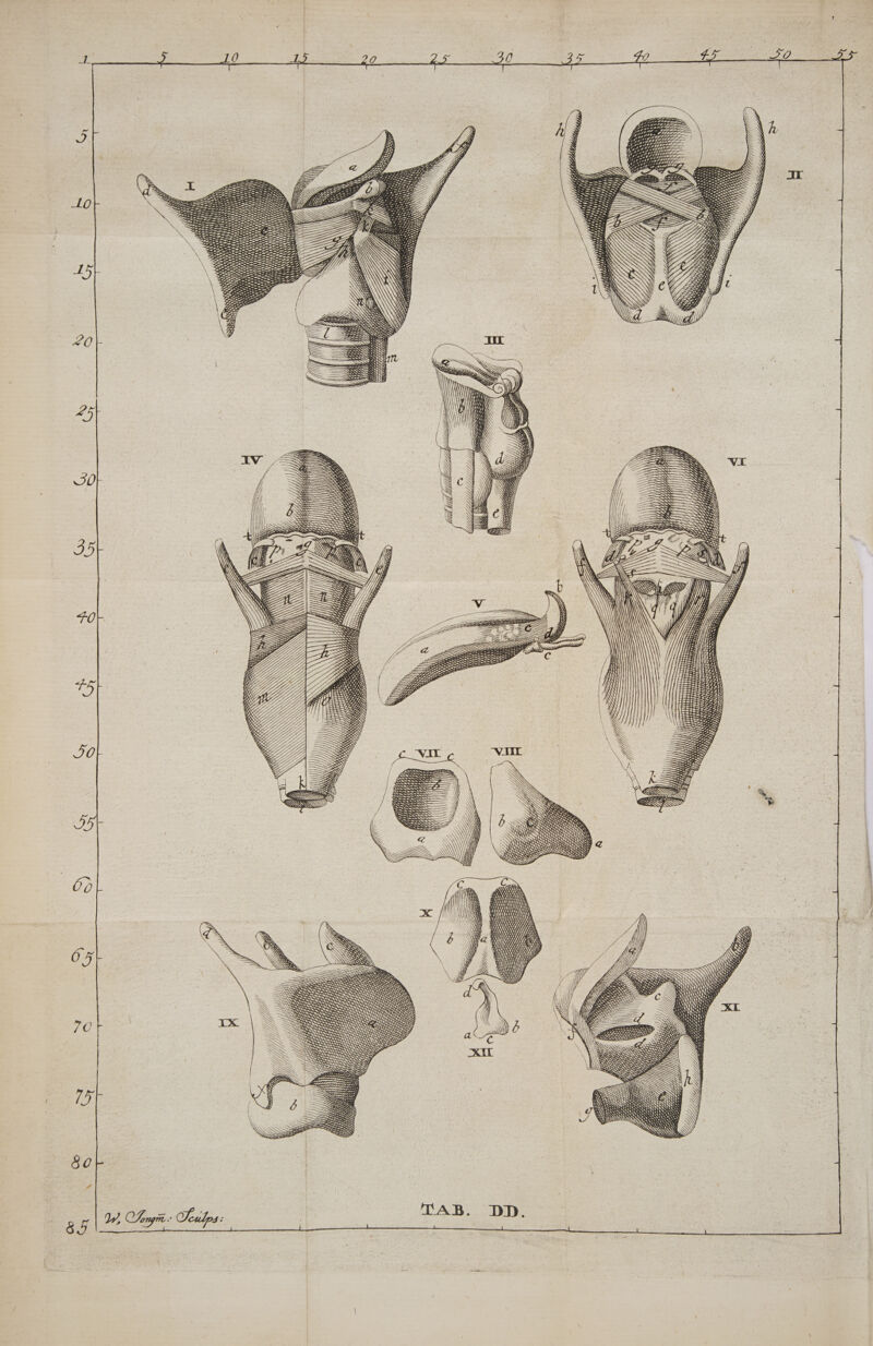 name Ce | PSE ess LATE PEL TL LT ALLIE RLLE 22